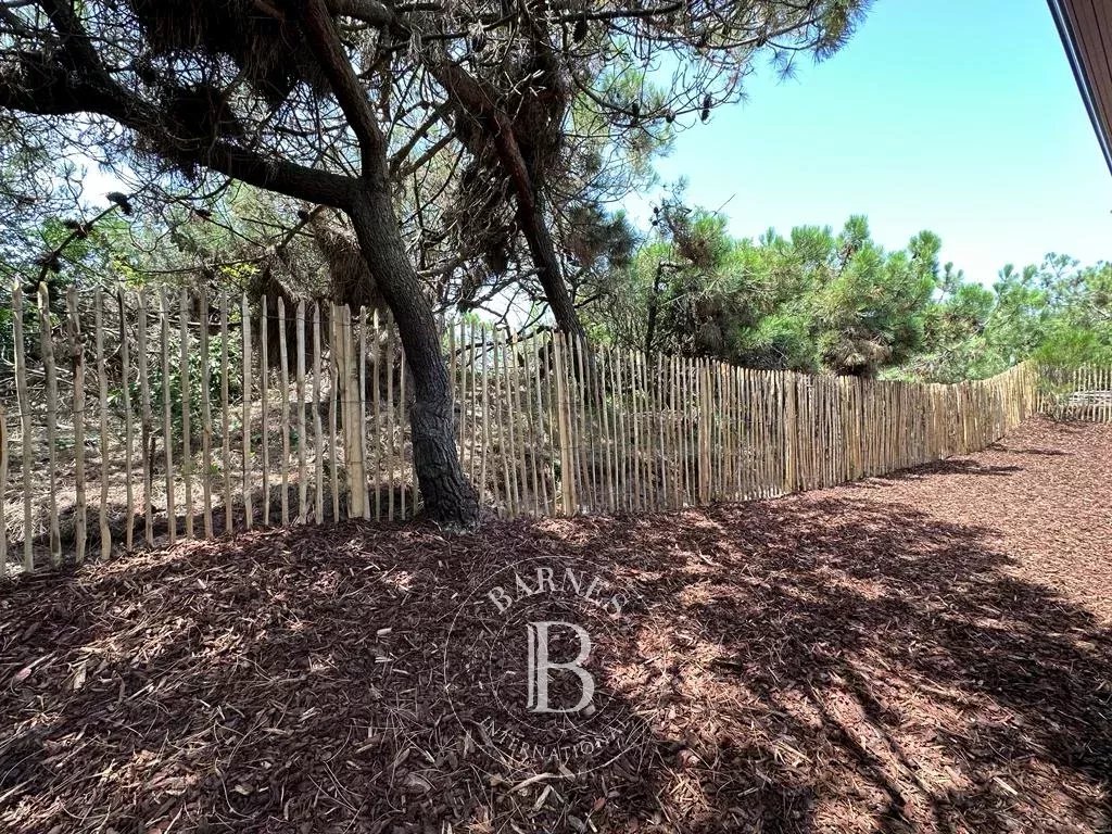 Ev Cap-Ferret - picture 5