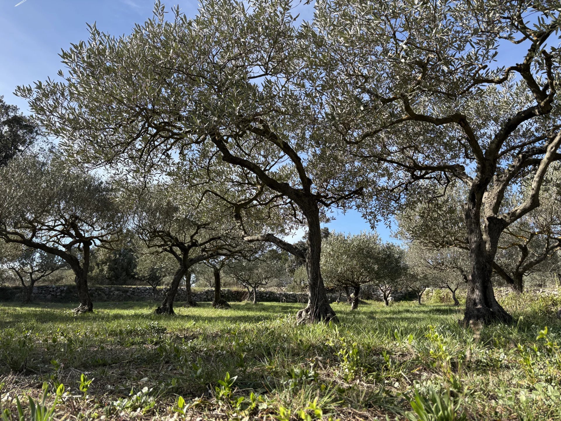 Sale Building land Cotignac