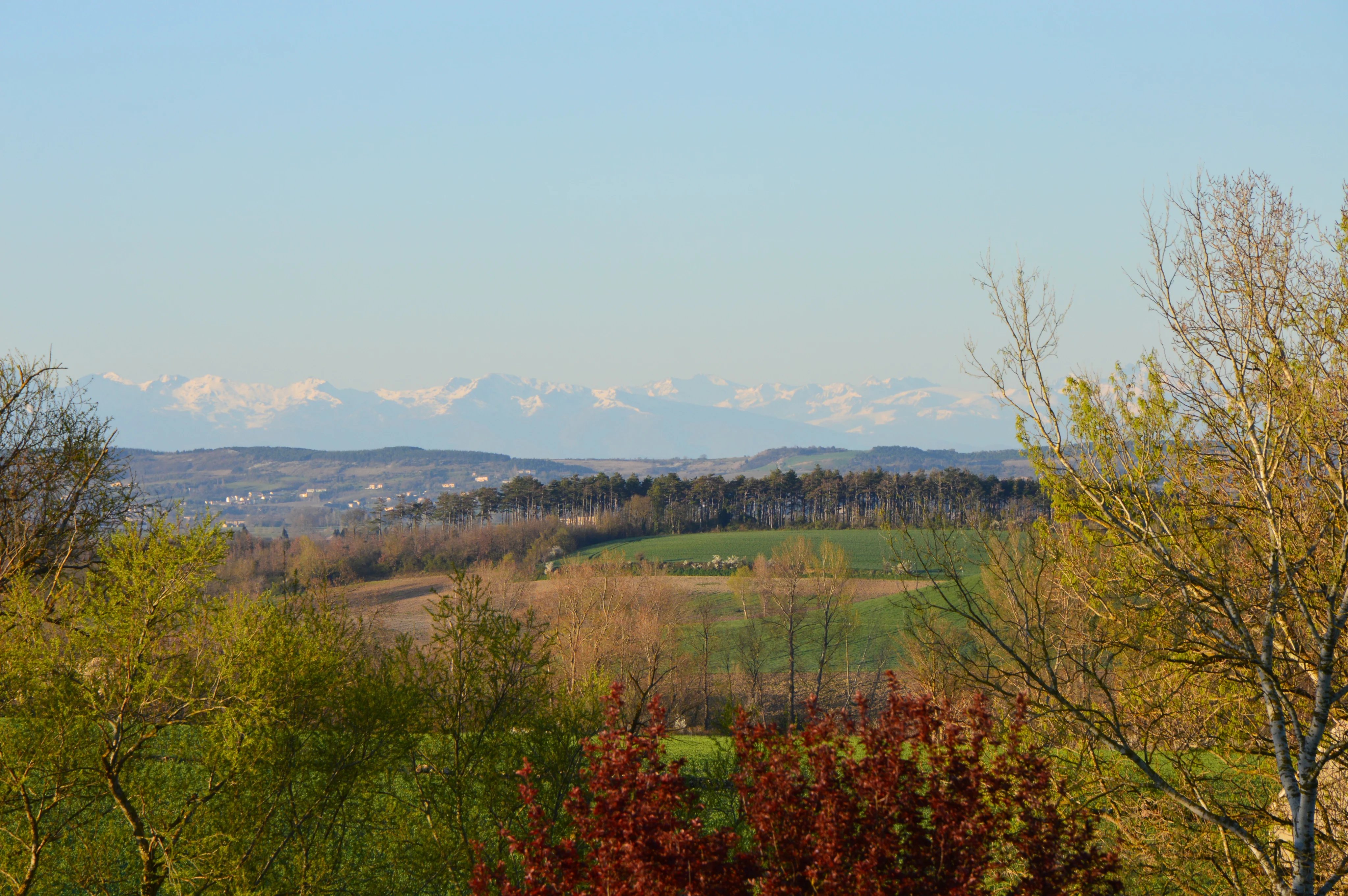 Property for sale Castelnaudary, Aude
