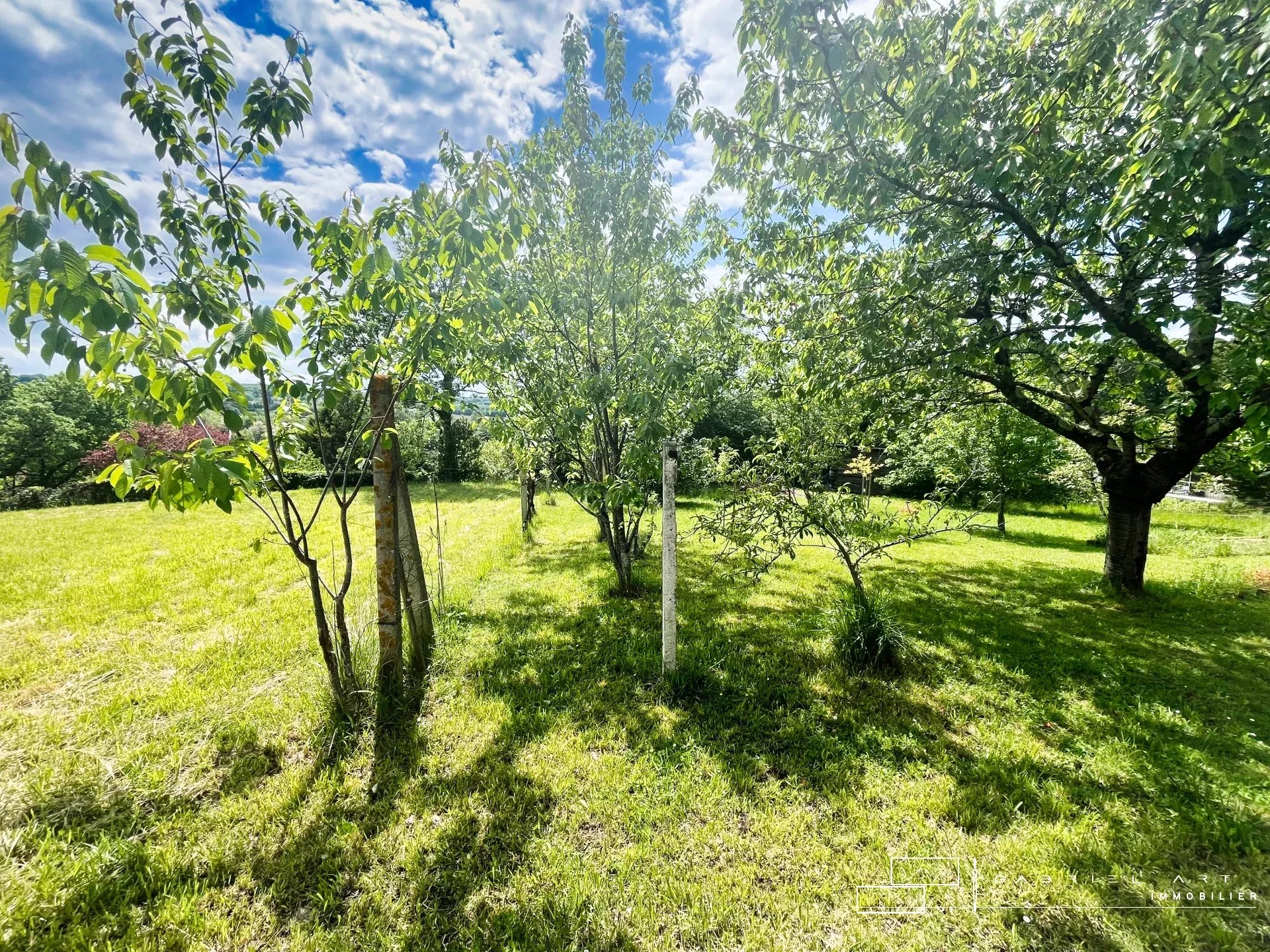 Agence immobilière de 