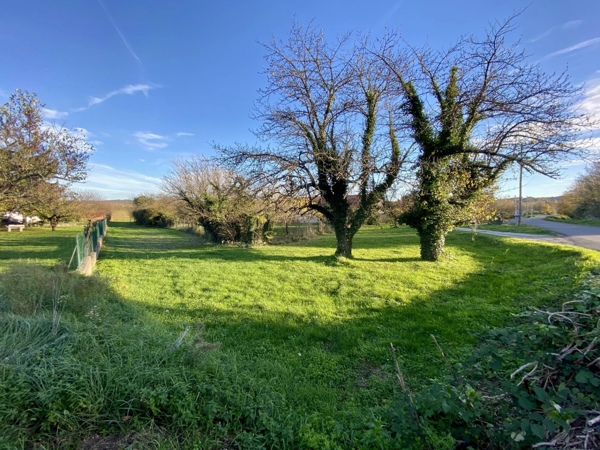 Agence immobilière de Agence Rive Gauche