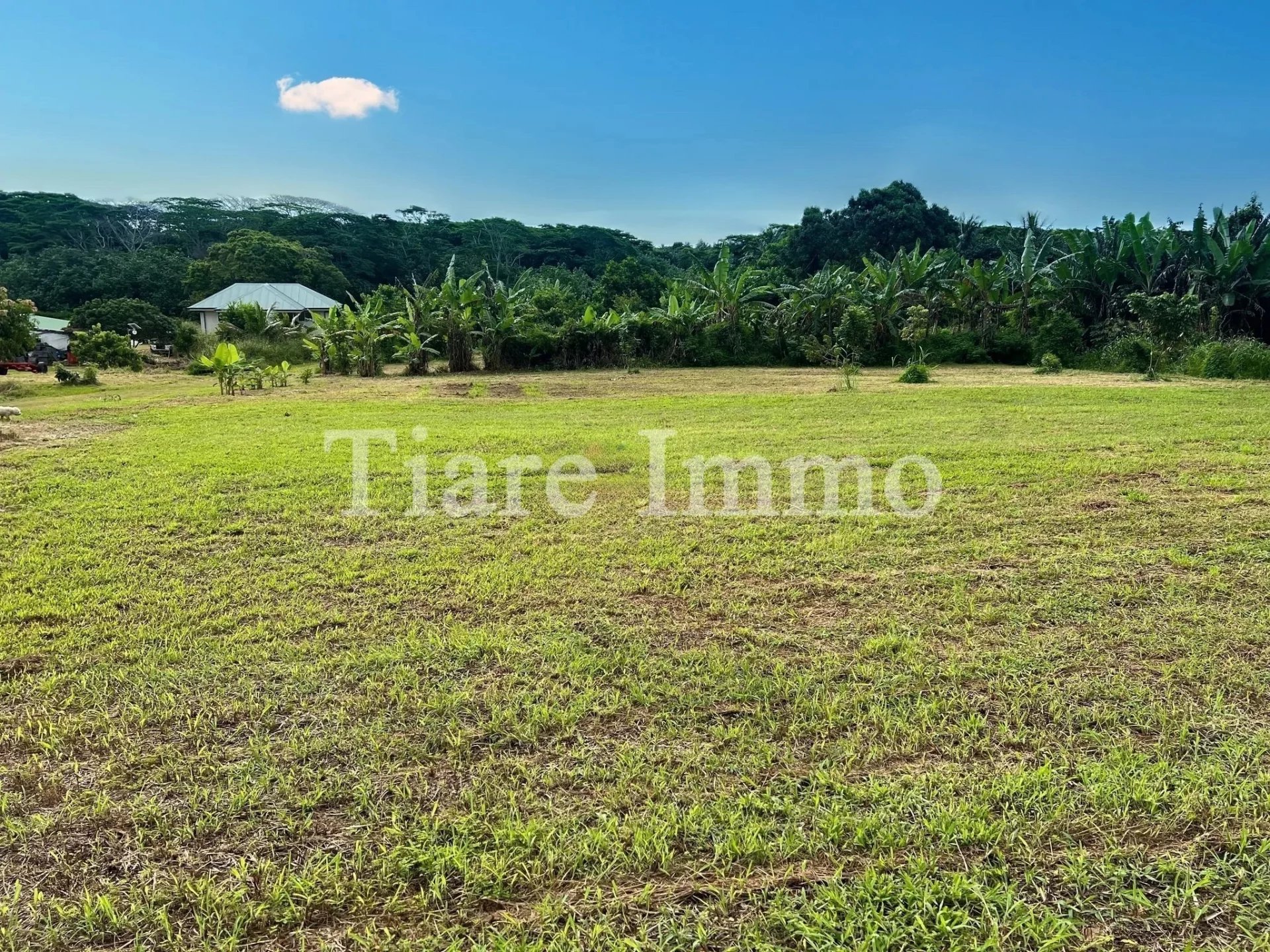 Sale Plot of land Tubuai