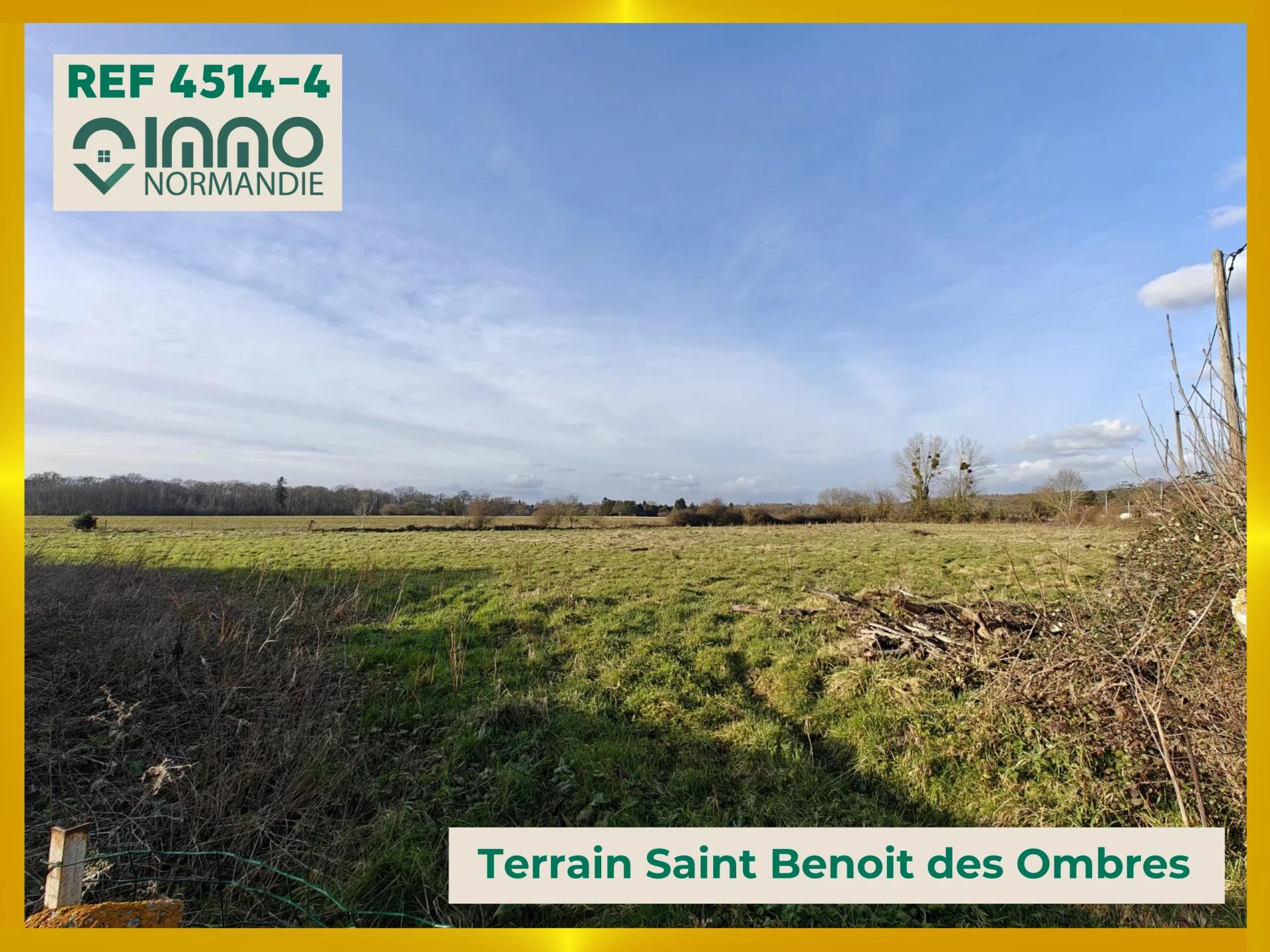 Agence immobilière de 
