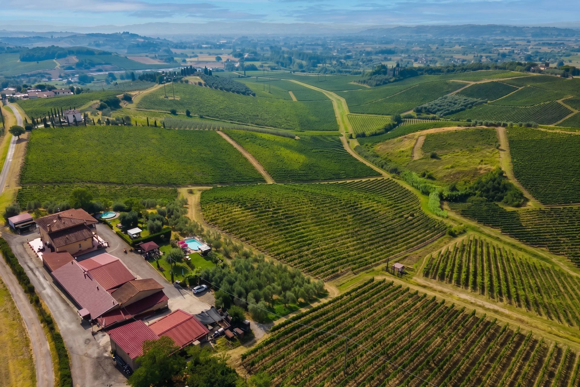AZIENDA VITIVINICOLA BIOLOGICA IN VENDITA A VINCI, CHIANTI