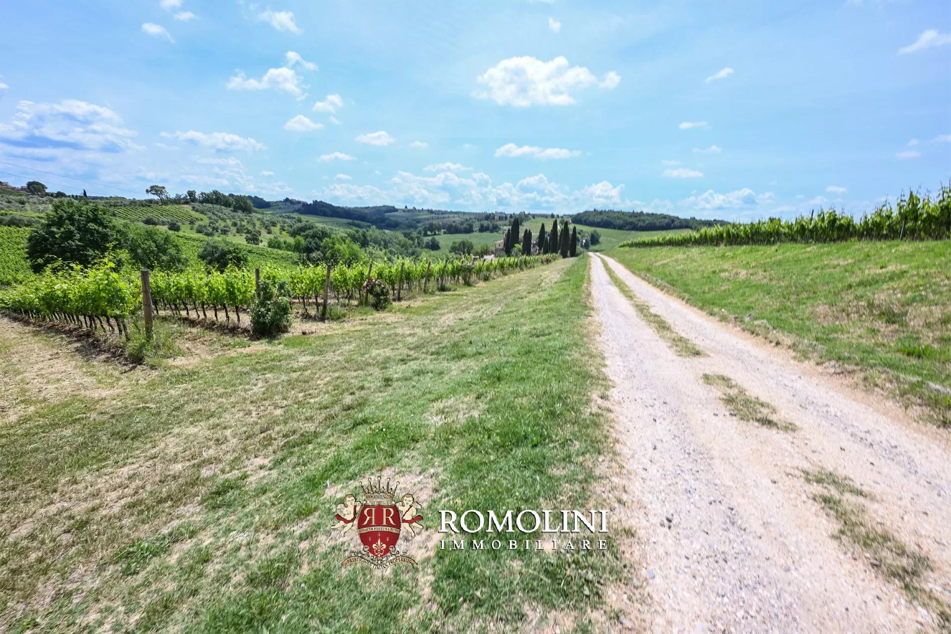 7 Bedroom Vineyard's Image 6