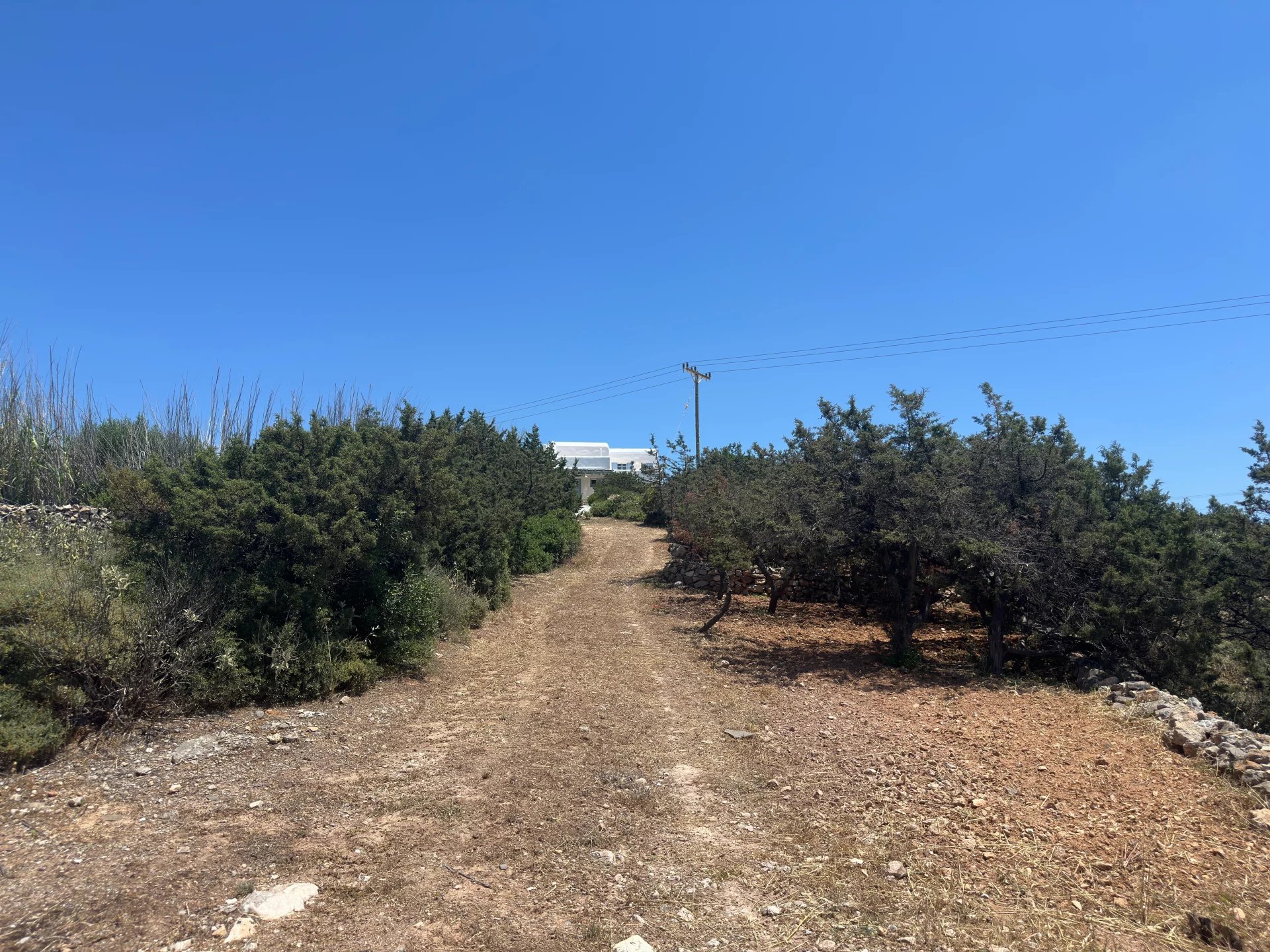 Εικόνα ιδιοκτησίας 101