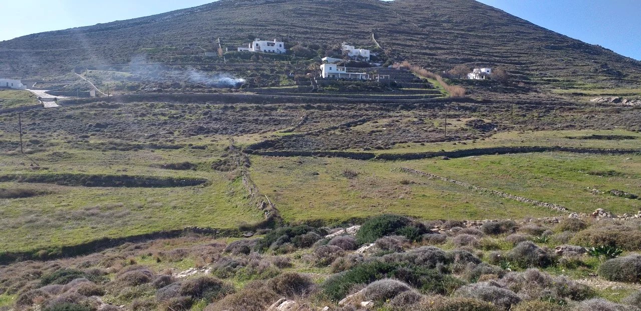 Image de la propriété 14