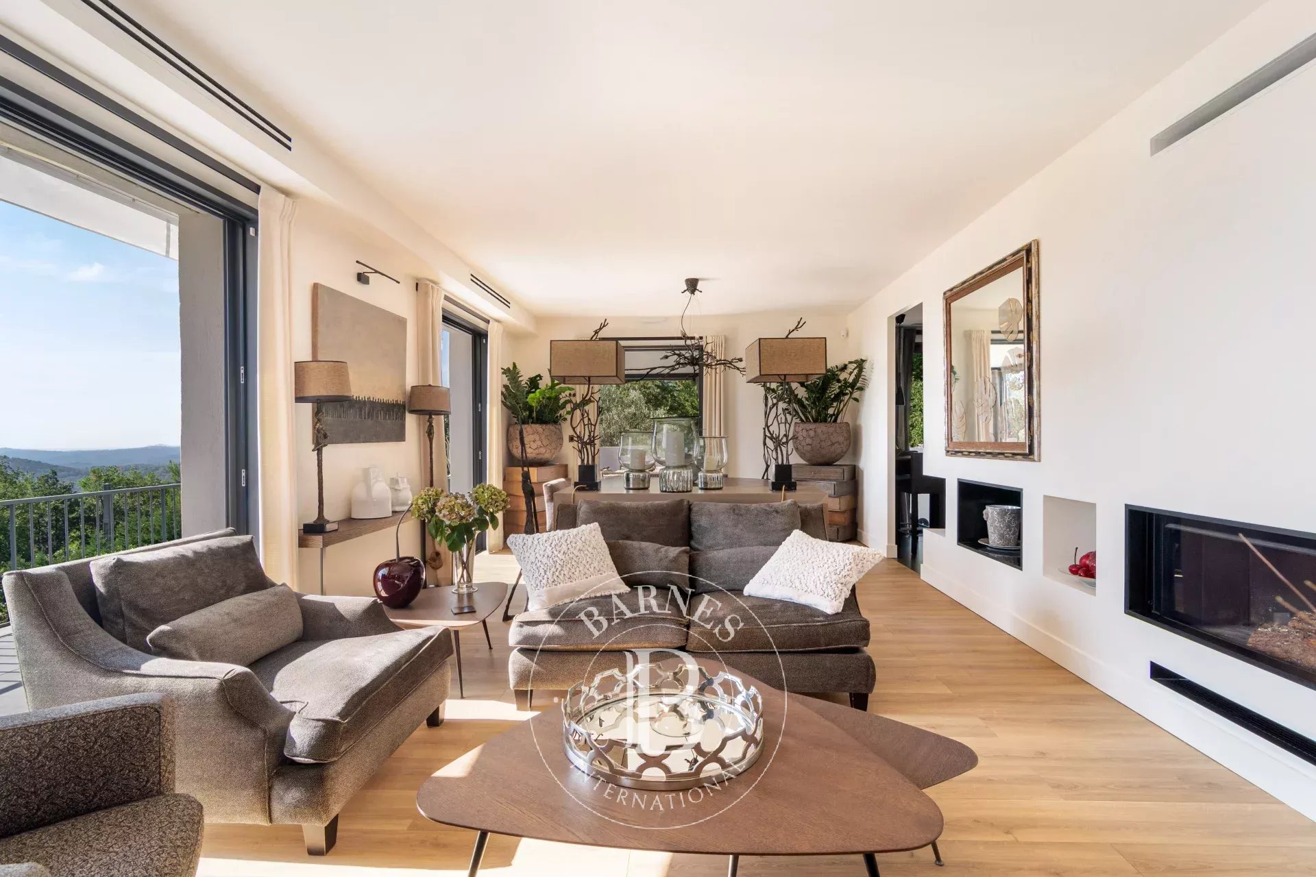 Villa Tourrettes-sur-Loup  -  ref 87186606 (picture 3)