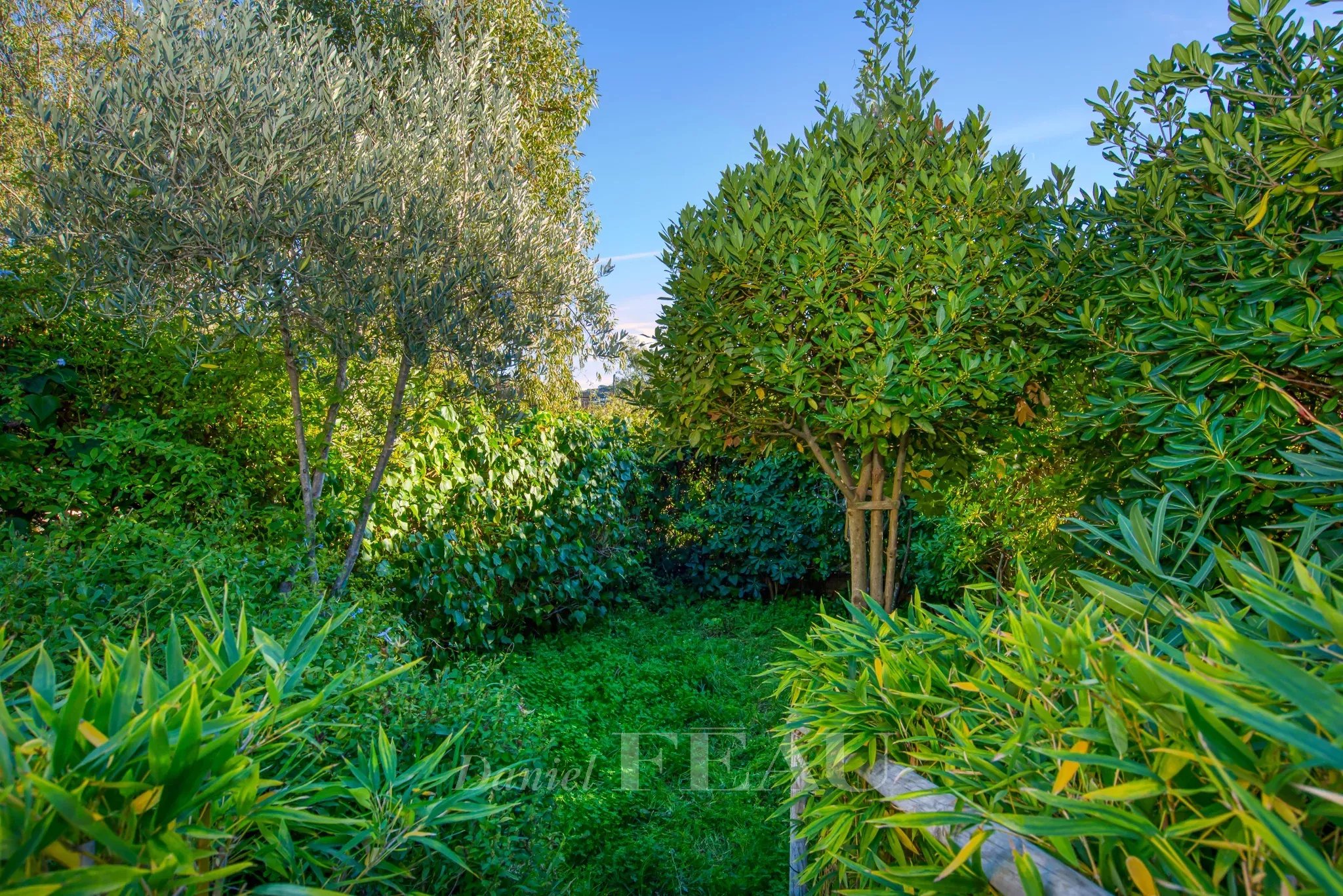 Vente Maison Saint-Tropez