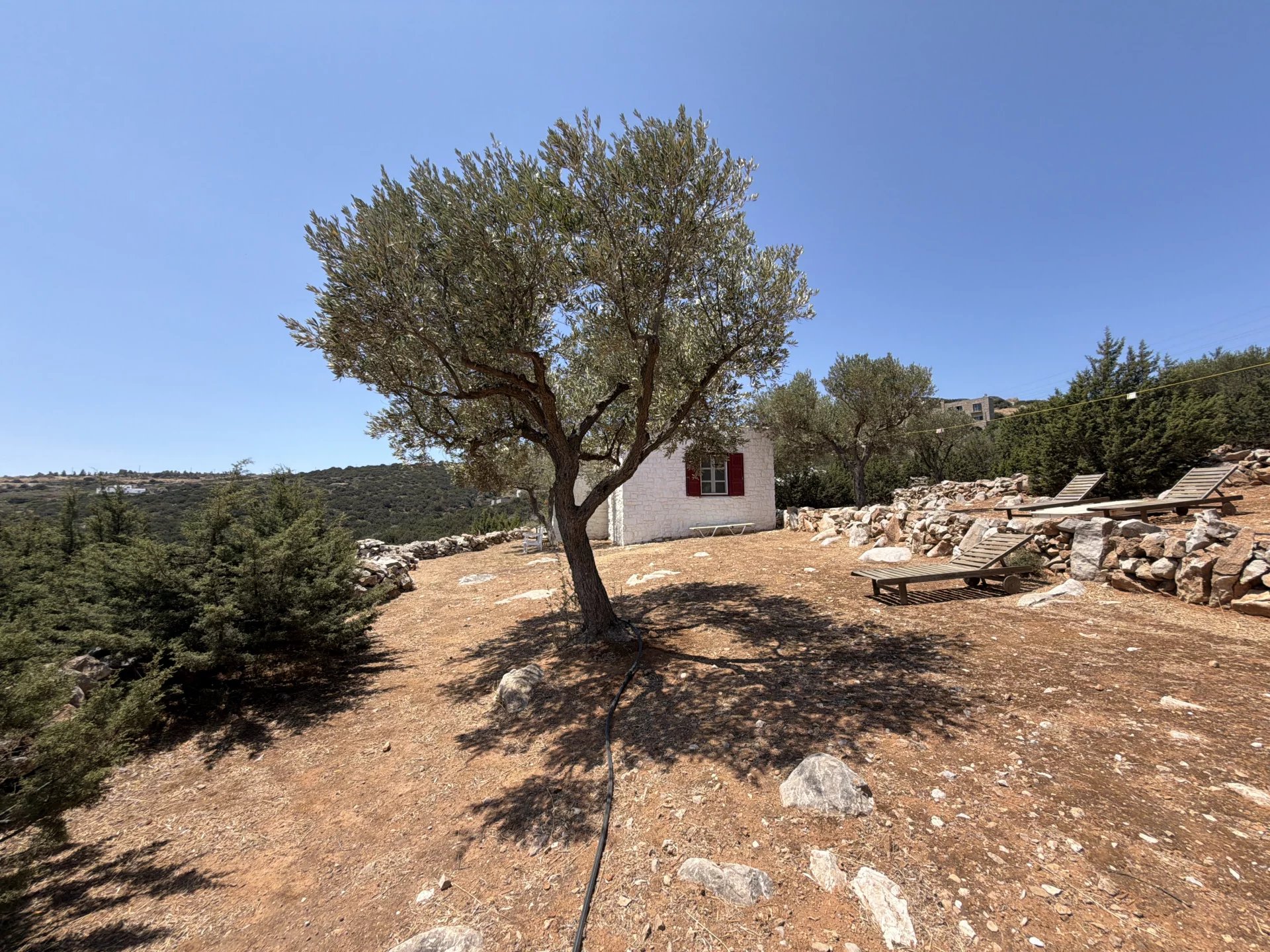 Image de la propriété 64