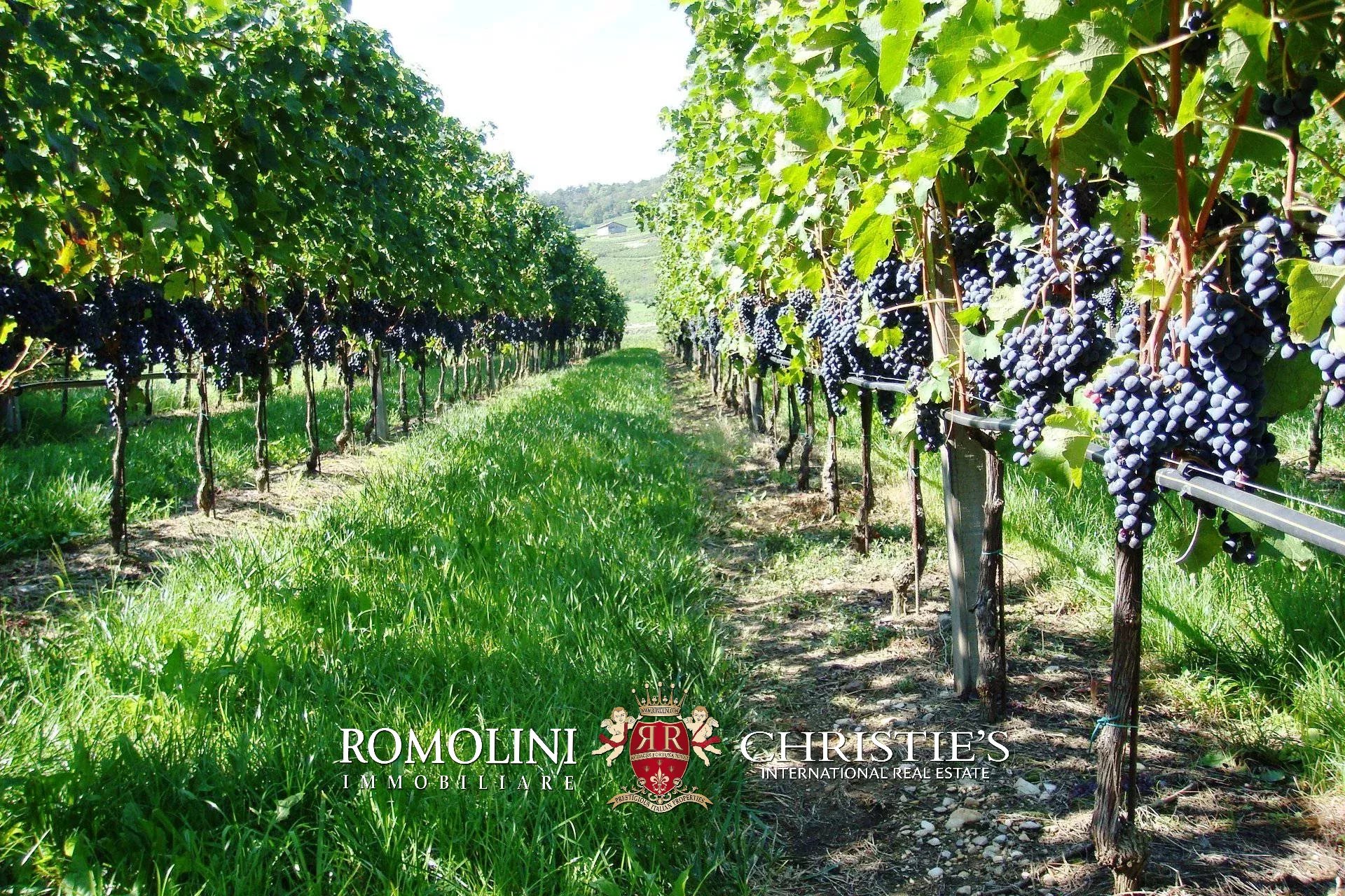 5 Bedroom Vineyard's Image 3