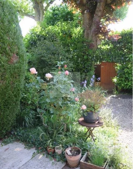 appartement 142 m² Ville-d'Avray — photo 6