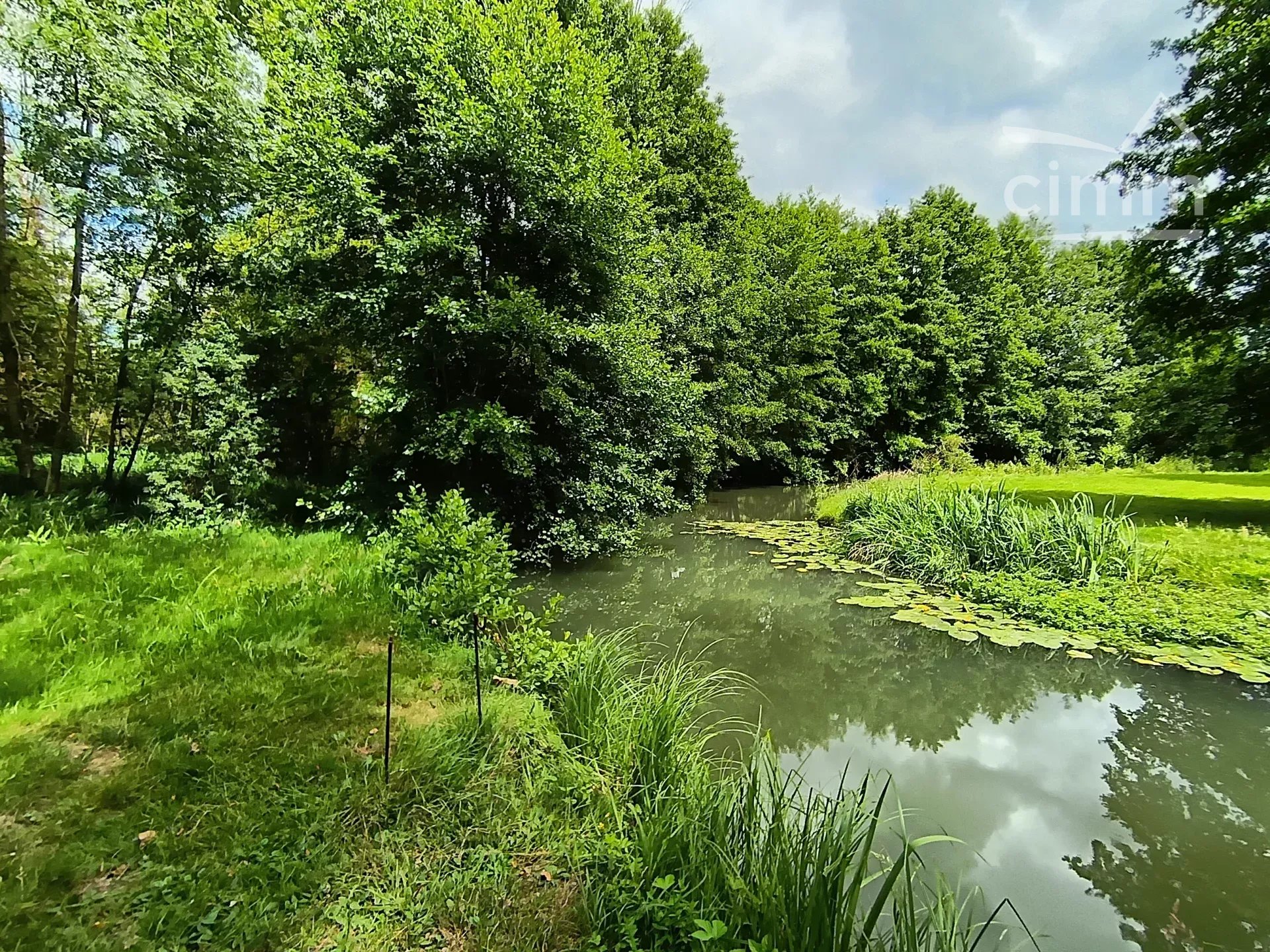 Agence immobilière de 