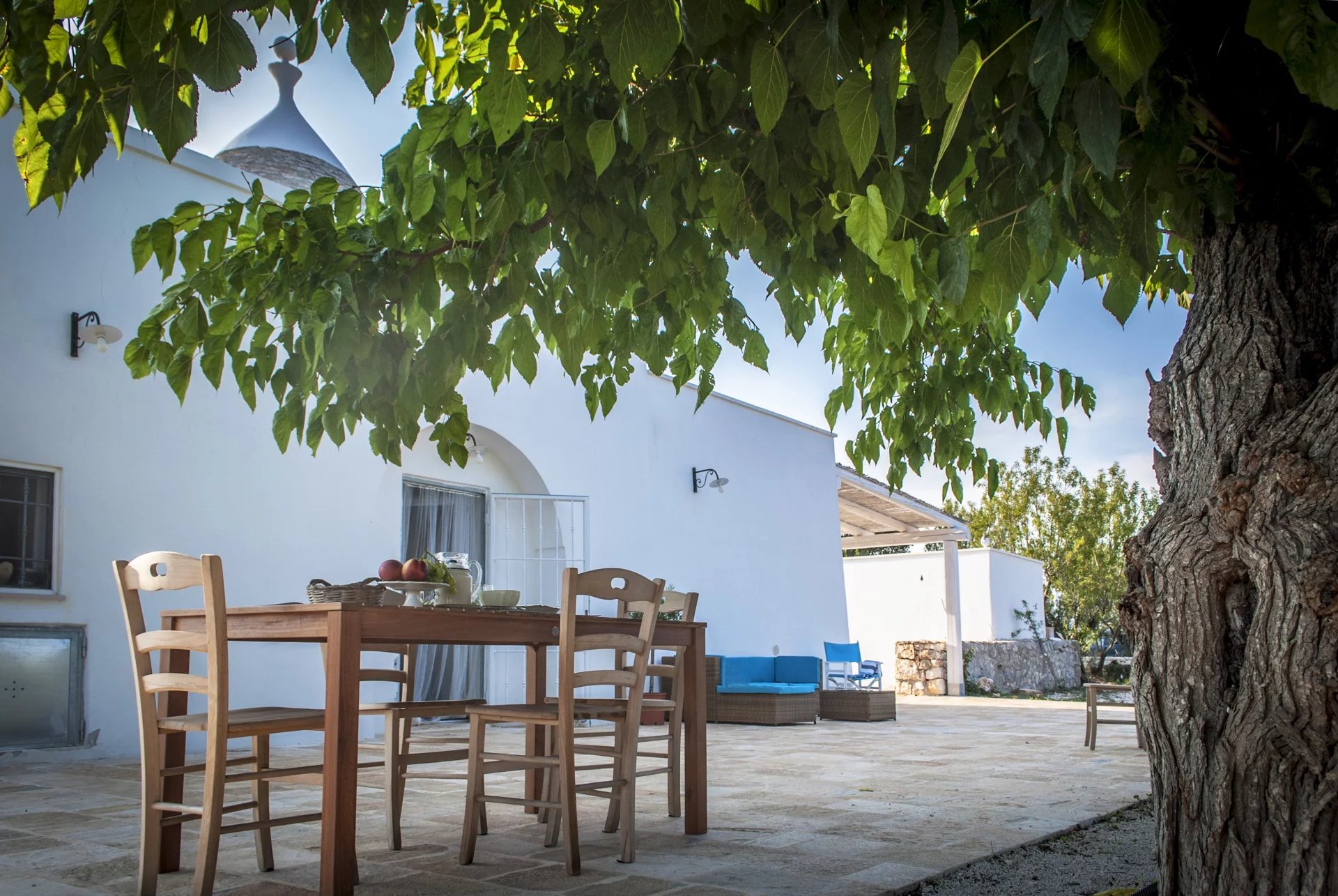 RENOVATED TRULLO AND LAMIA WITH SWIMMING POOL SET IN THE HEART OF A 3-HECTARE OLIVE GROVE