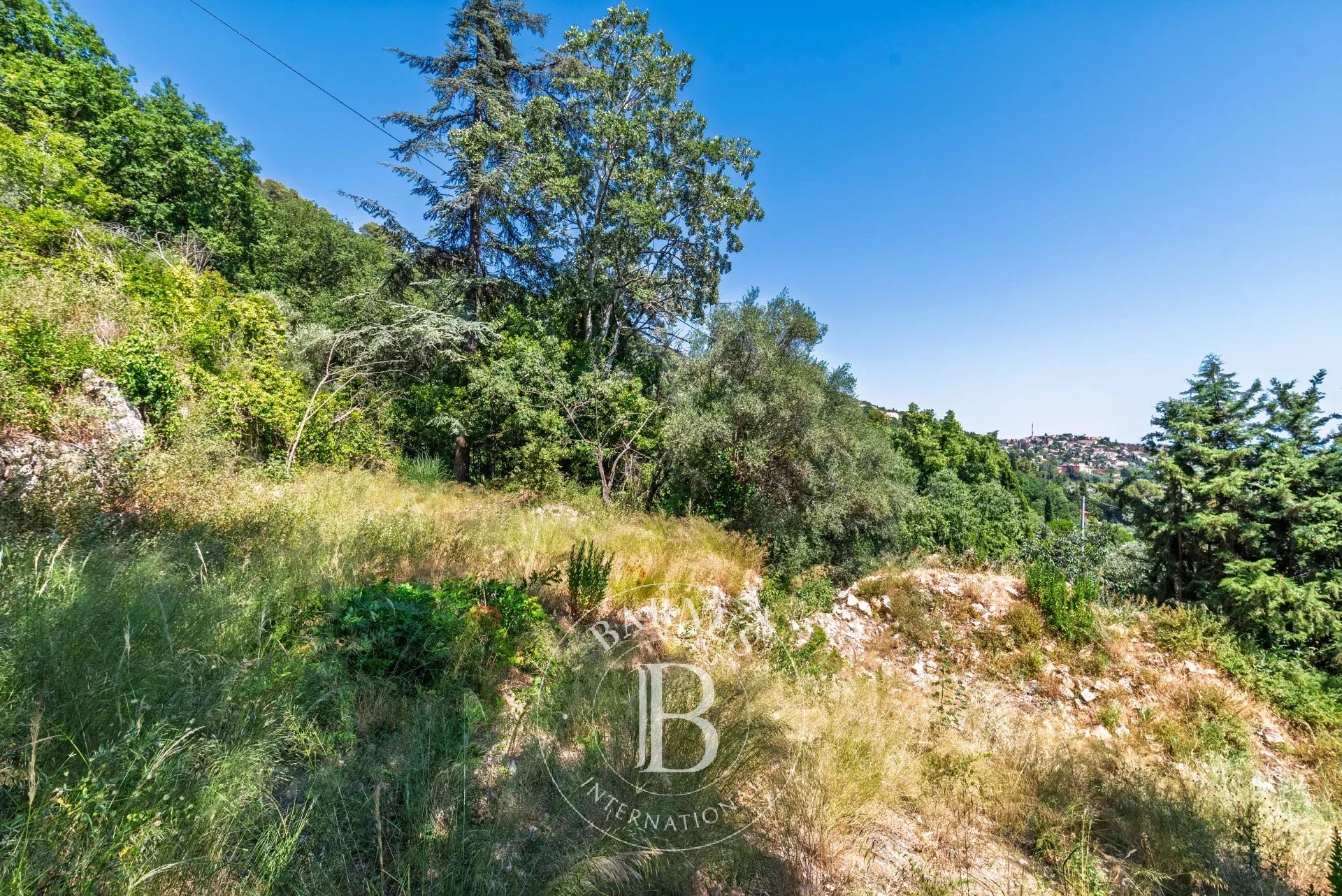 Grasse  - Terrain  - picture 2
