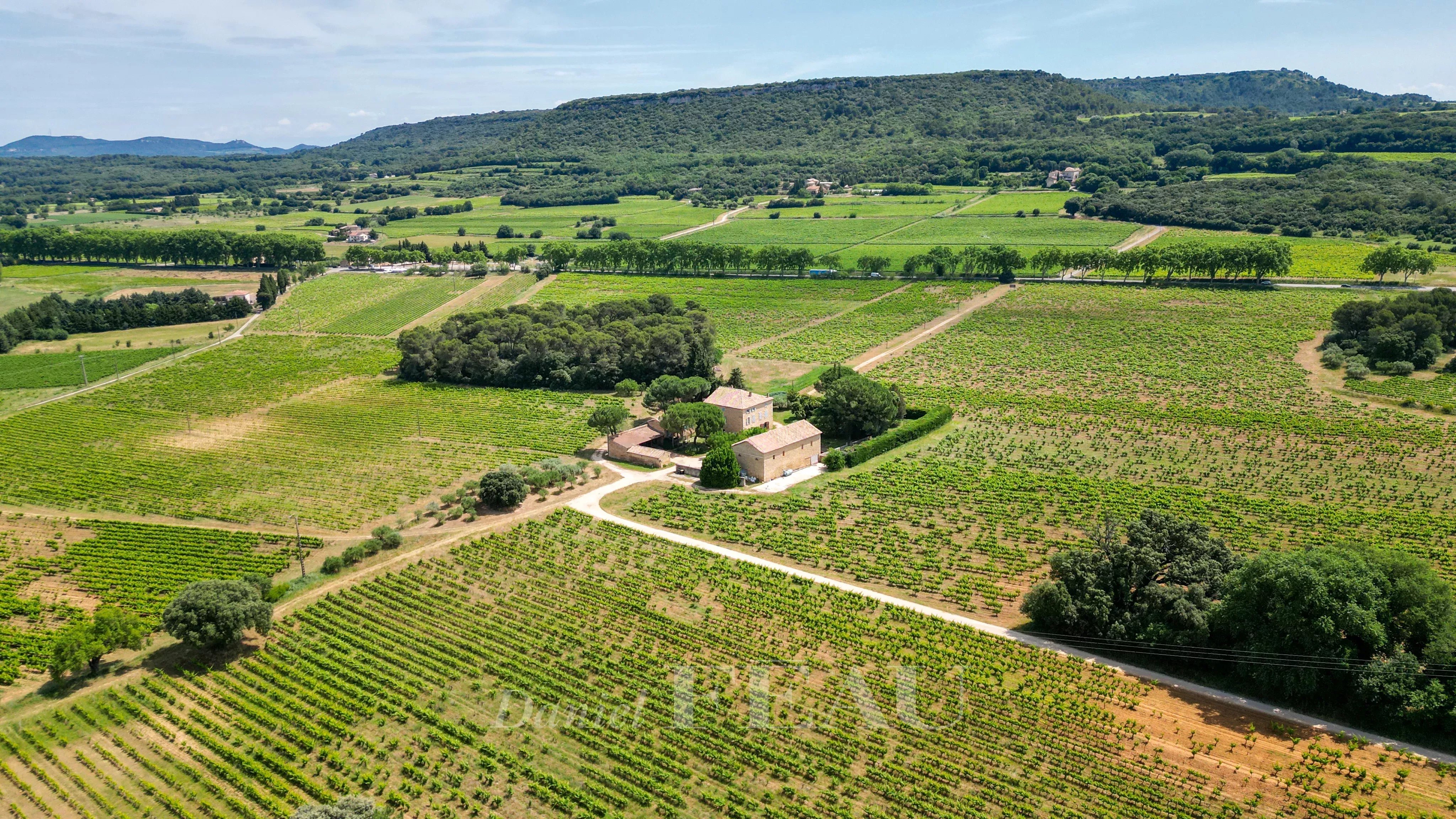 Gard provençal - Propriété viticole