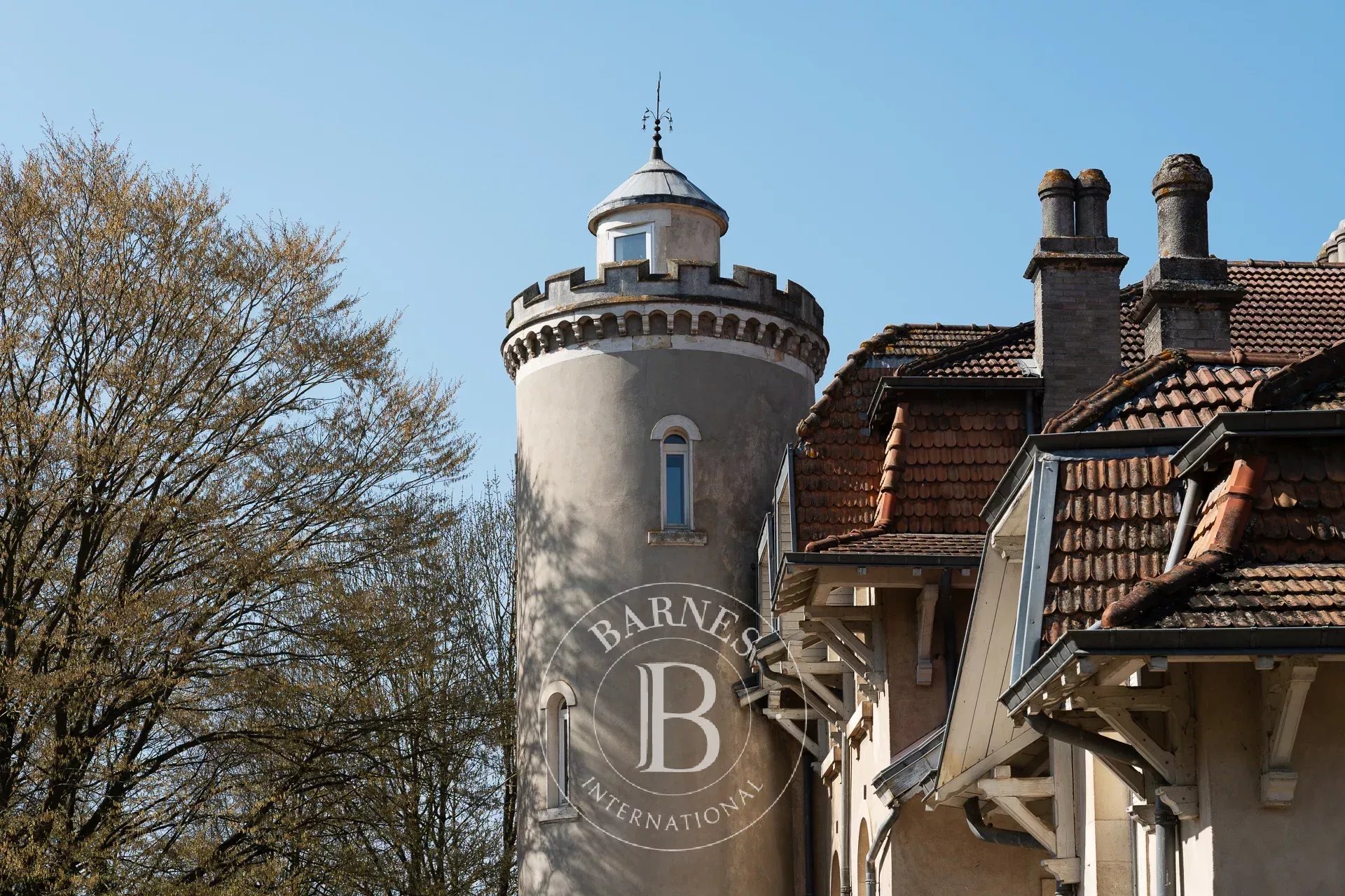 Belleau  - Château  - picture 6