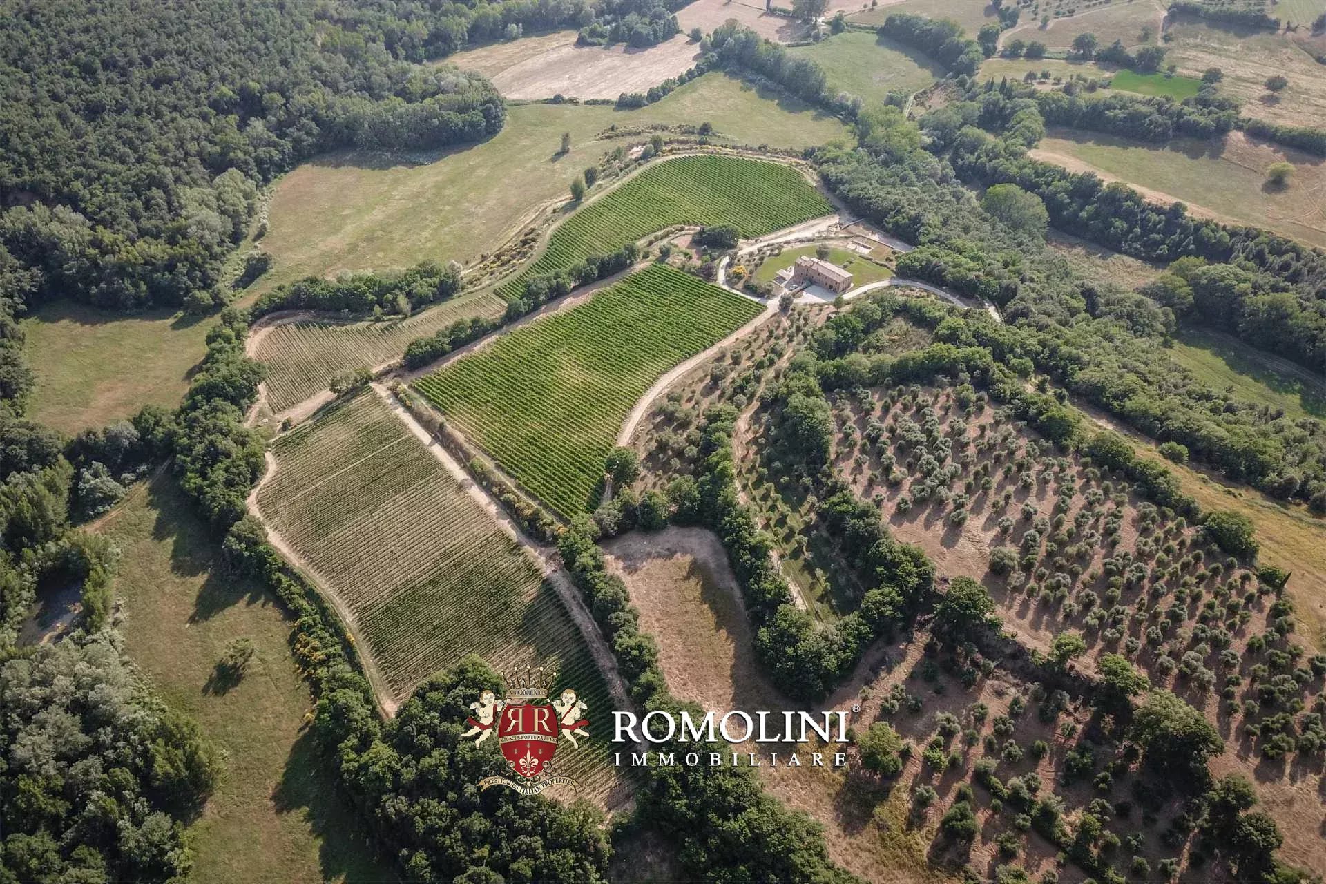 3 Bedroom Vineyard's Image 8