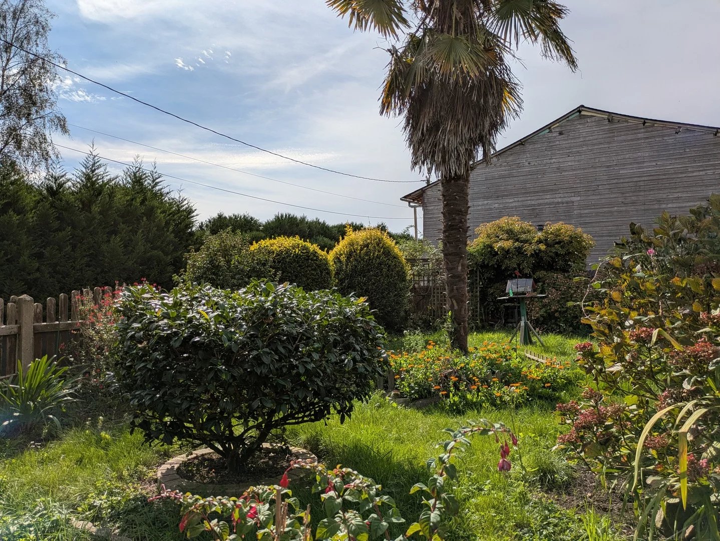 PLEURTUIT maison 3 chambres