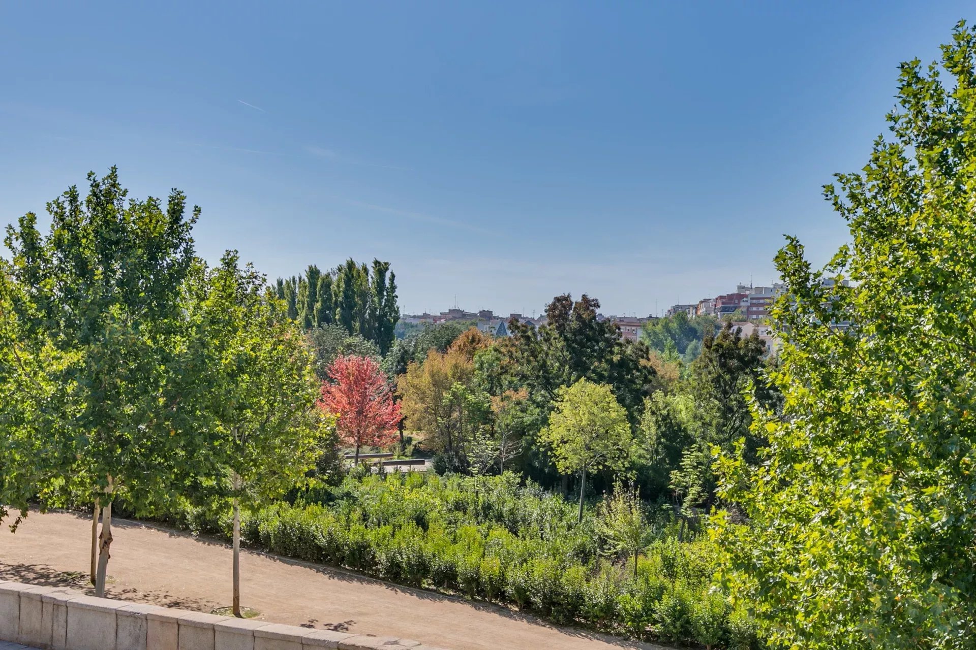 Daire Madrid - picture 31