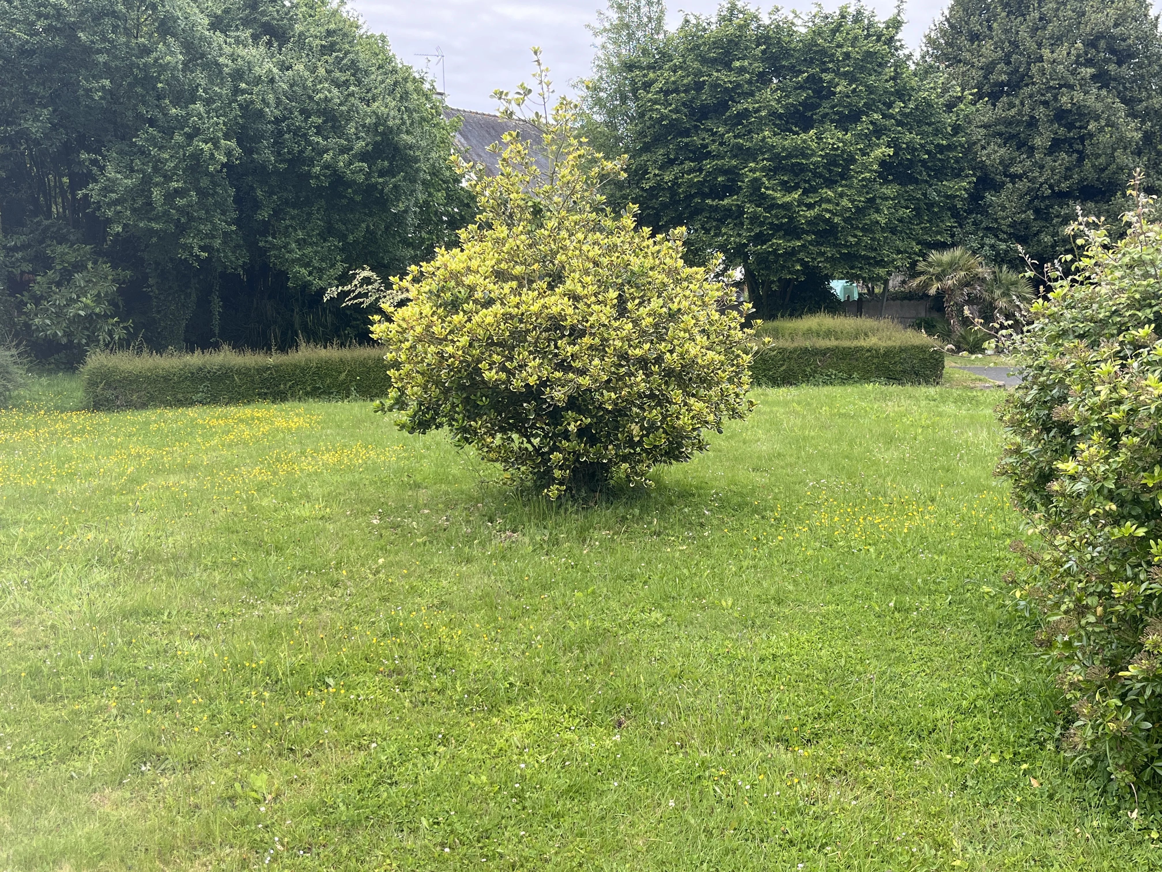 Terrain constructible viabilisé à La Vicomté-sur-Rance – Proche Rance, Dinan et Saint-Malo