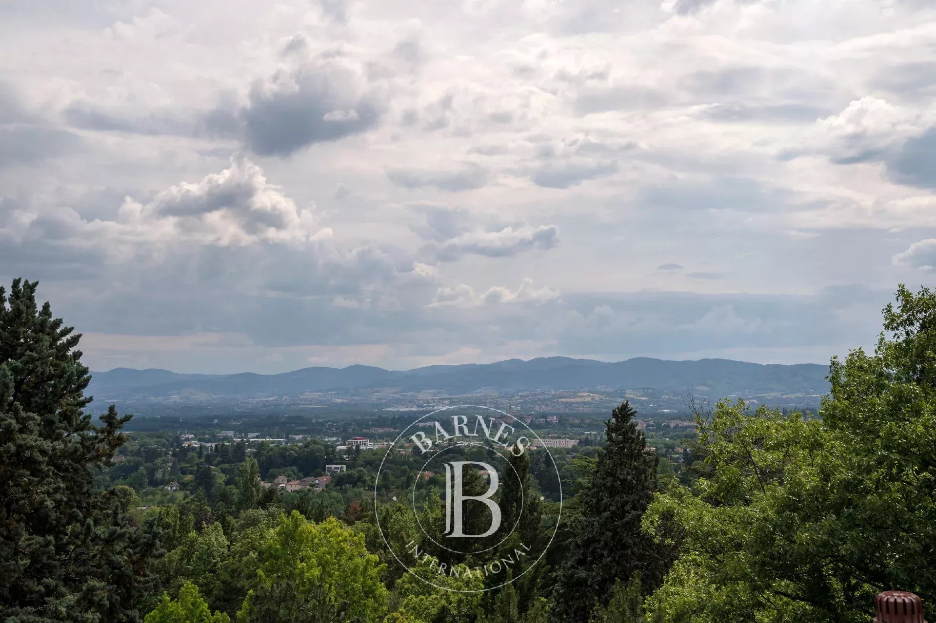 Ev Saint-Didier-au-Mont-d'Or - picture 11