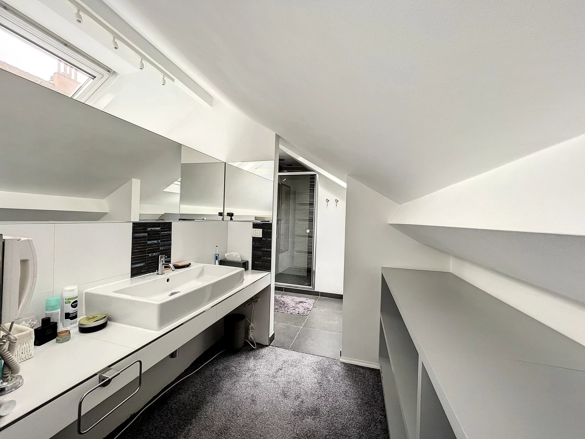 Ev Ixelles - picture 16