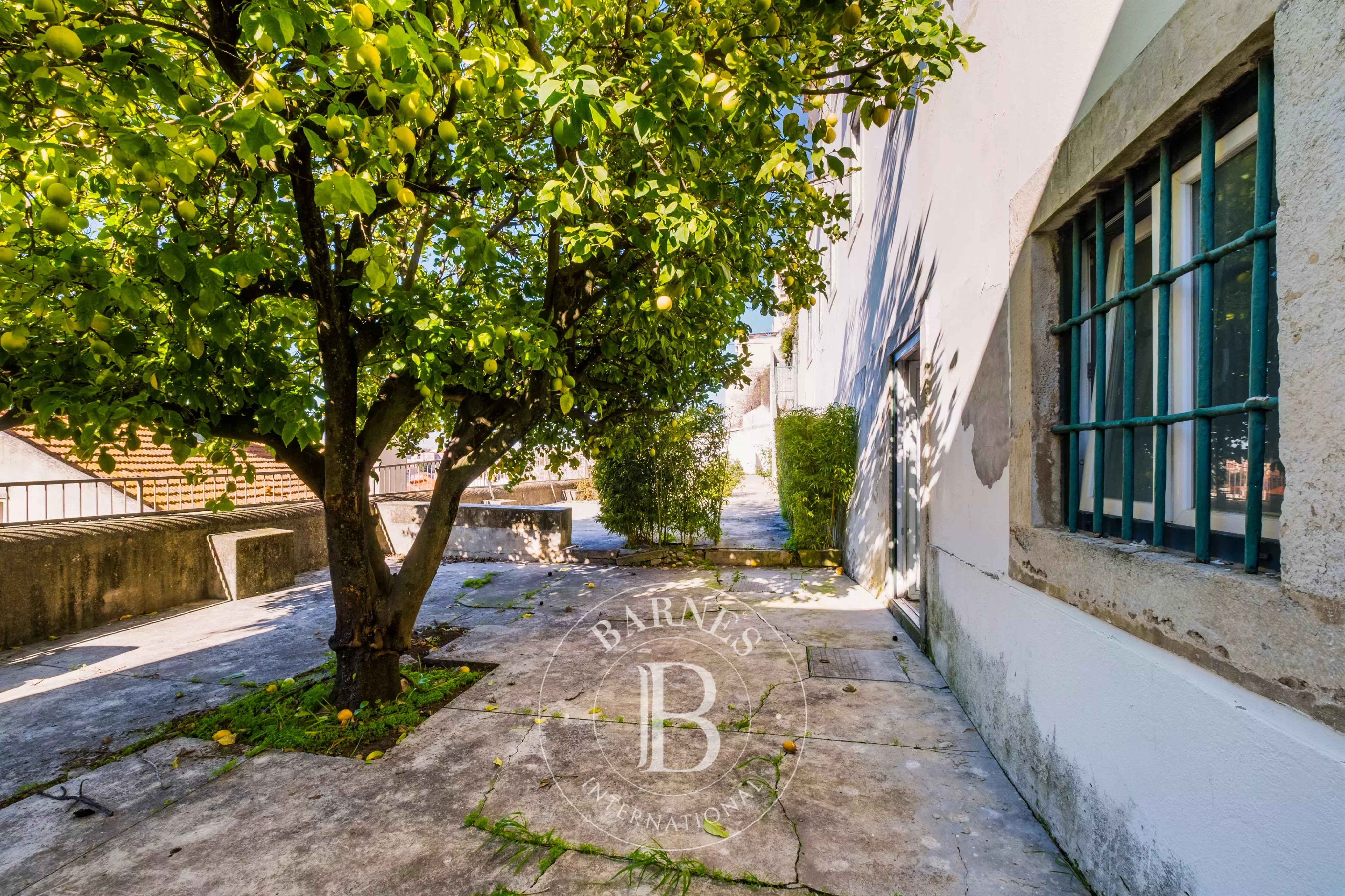 86230805 – São Vicente