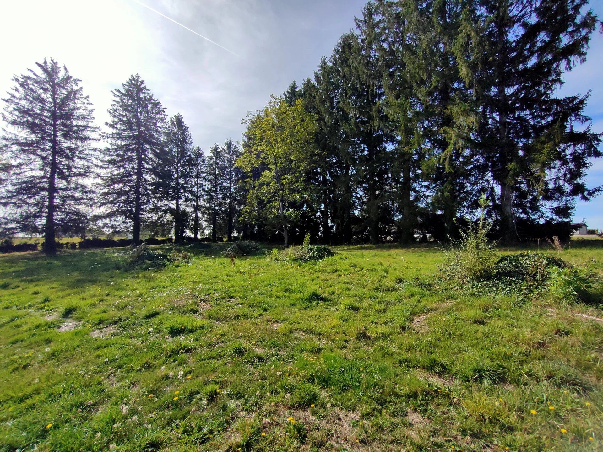 Terrain à la campagne