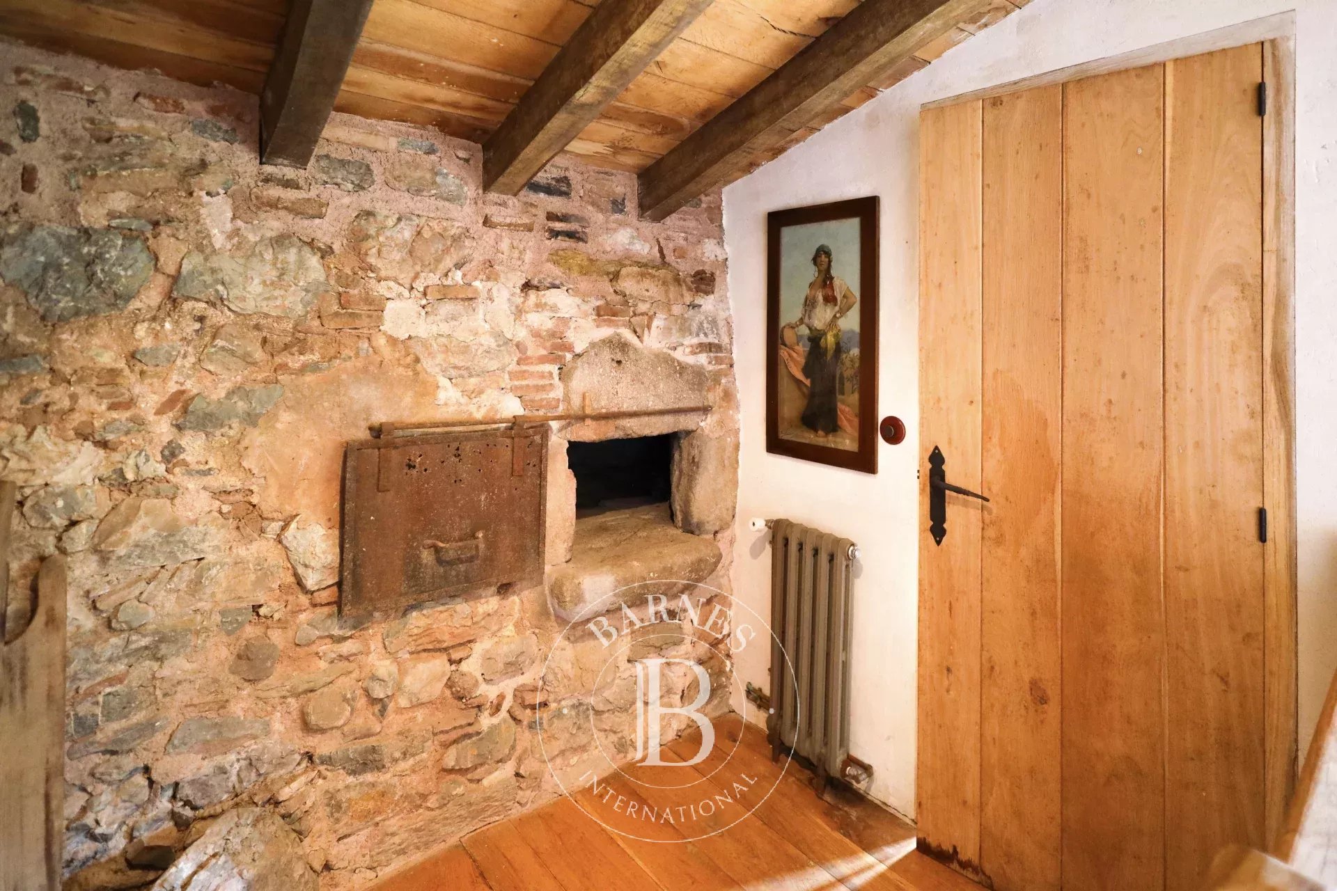 Çiftlik Camprodón - picture 16