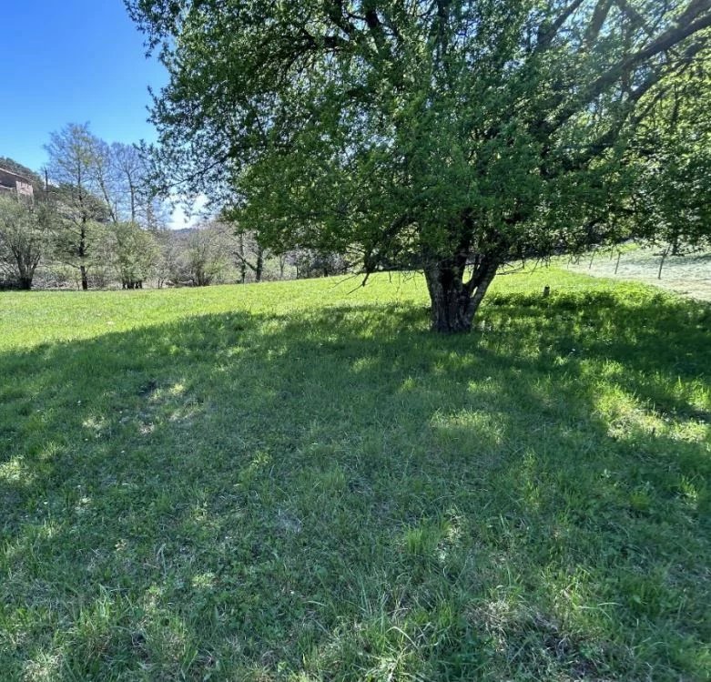 Vente Propriété Soudorgues