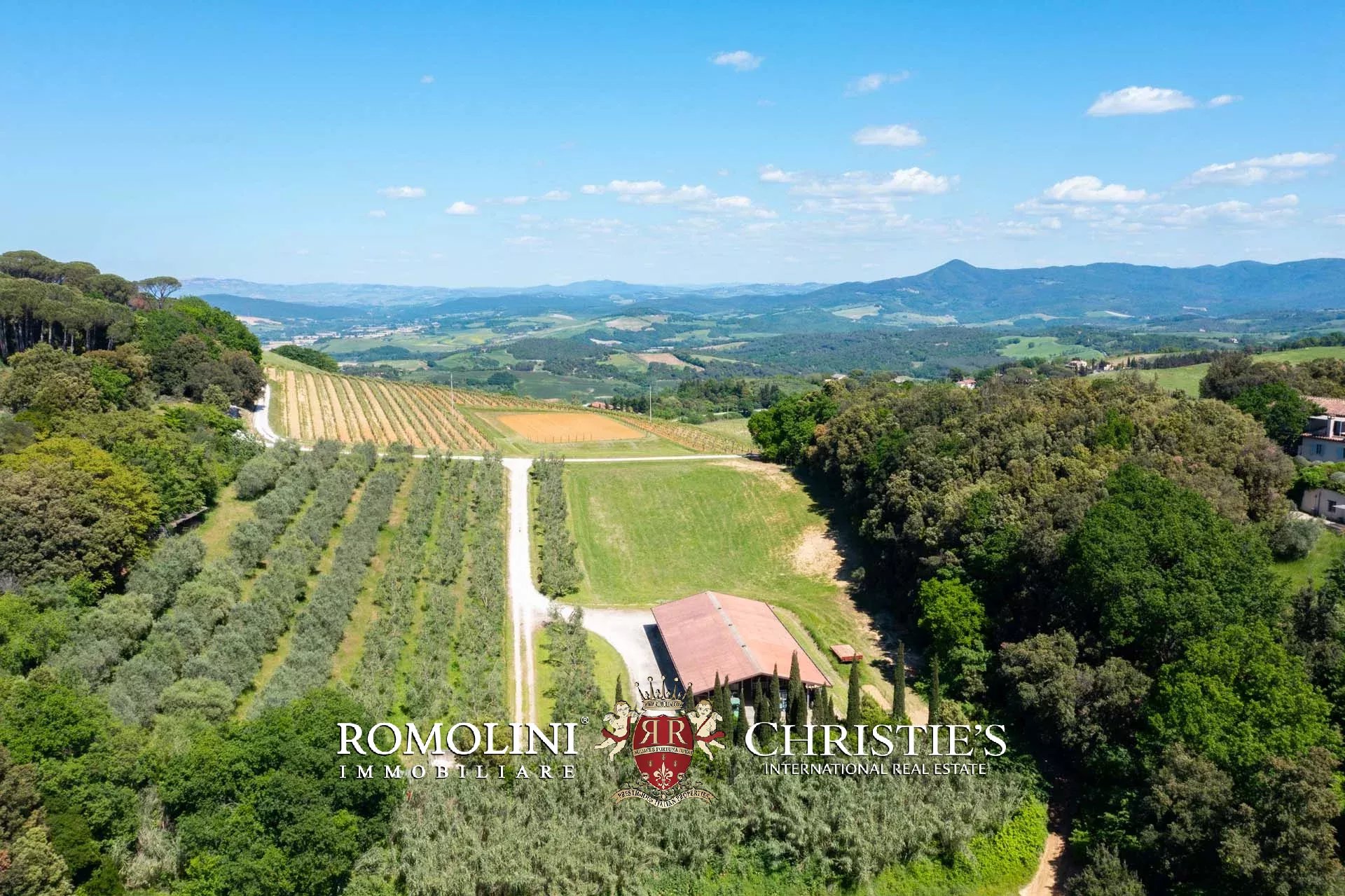 EQUESTRIAN SEA VIEW WINE ESTATE WITH VINEYARDS FOR SALE CLOSE TO BOLGHERI, TUSCANY