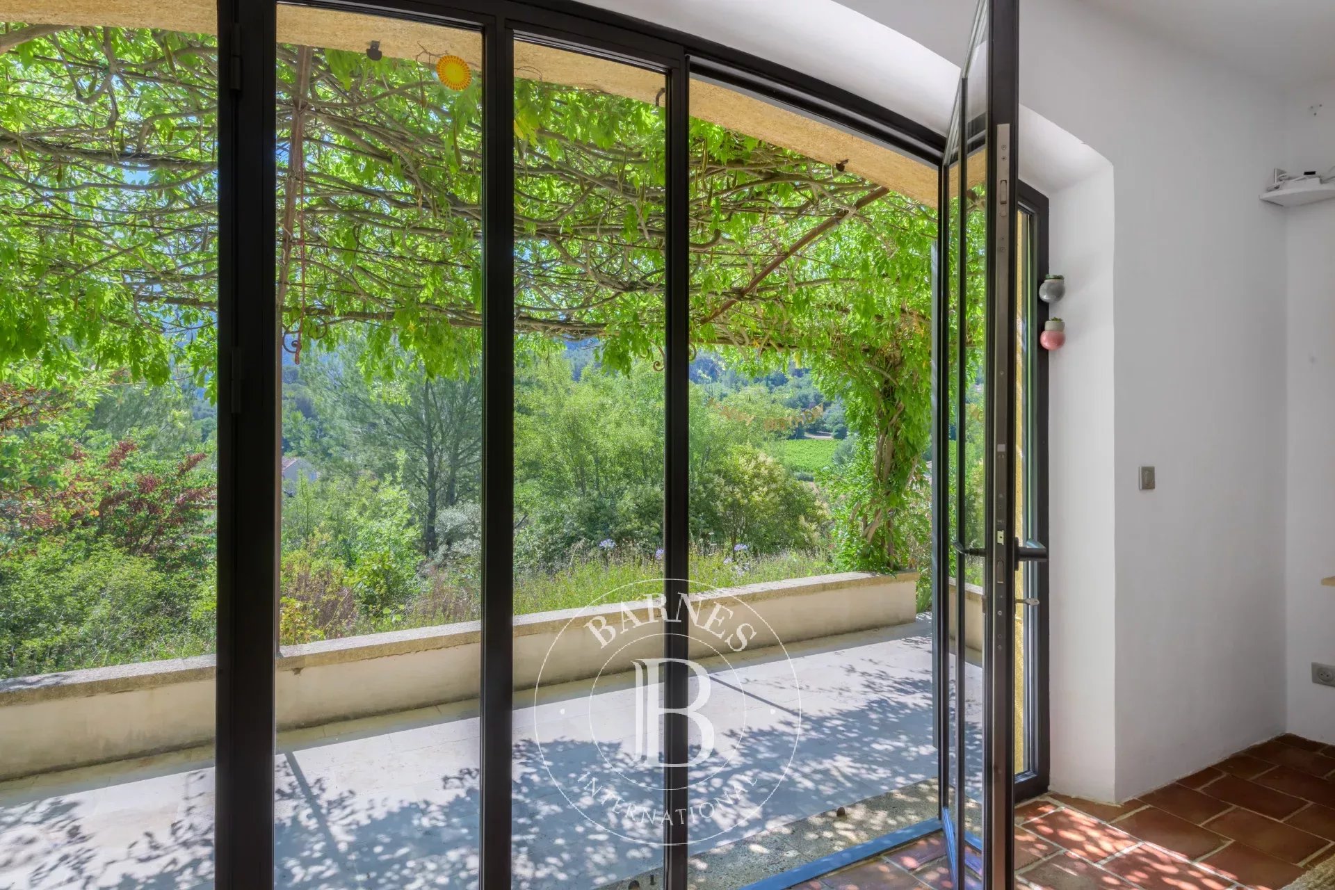 Kirevi Auriol - picture 8