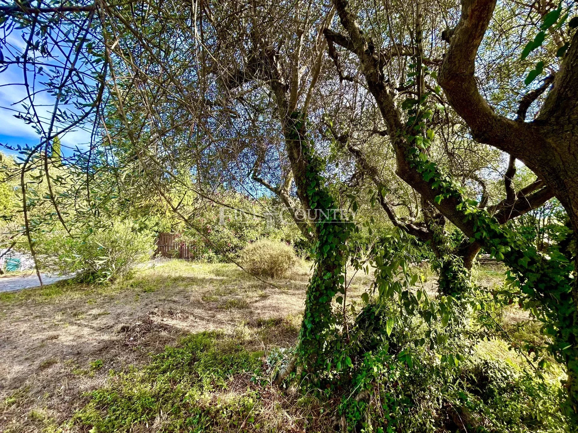 Villa and land for sale in Montauroux Accommodation in Cannes