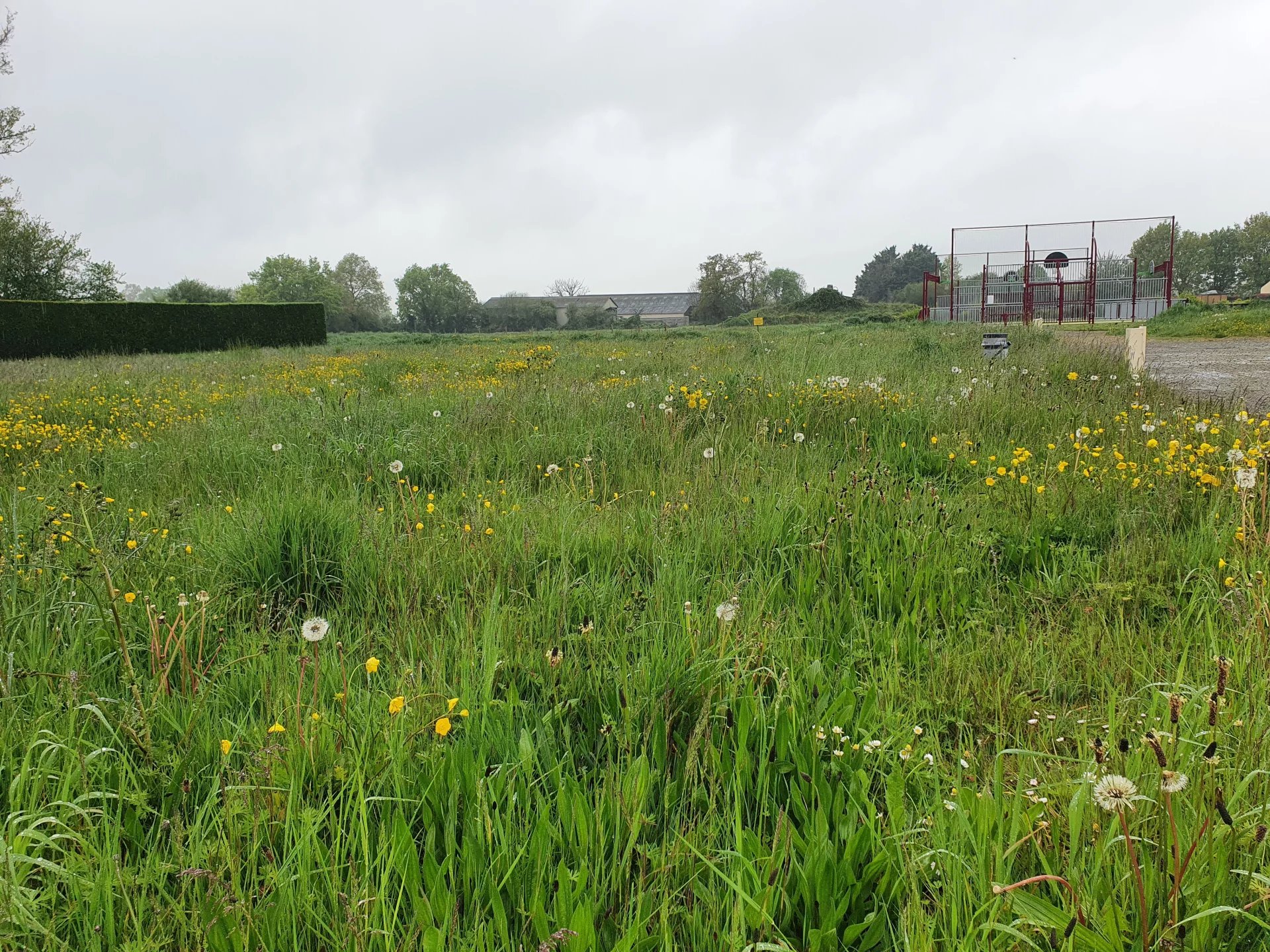 Vente Terrain constructible Saint-Georges-le-Fléchard
