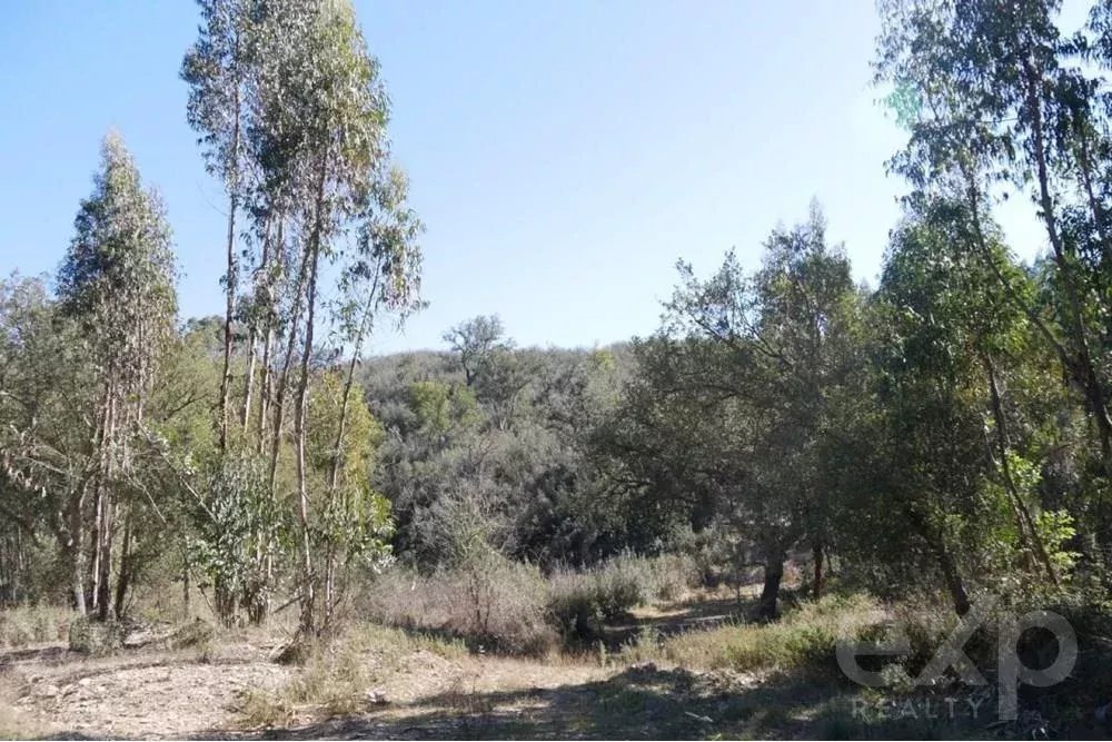 Exceptional 65-Hectare Estate in Alentejo with Tourism Development Potential 85506160 image 24