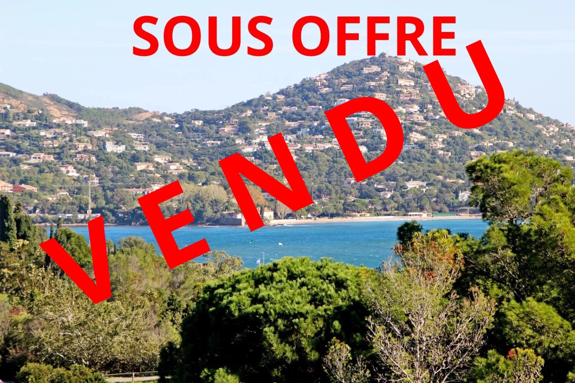 Agence immobilière de Azzurra Immobilier