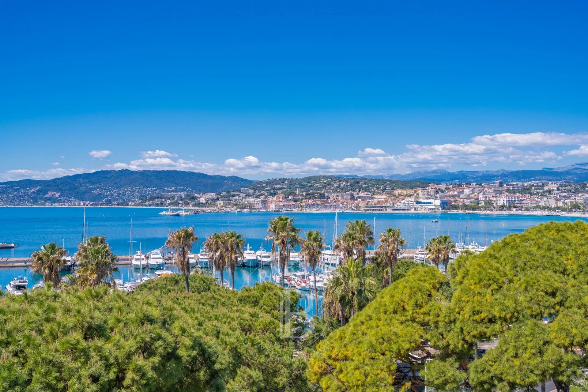 Квартира Cannes