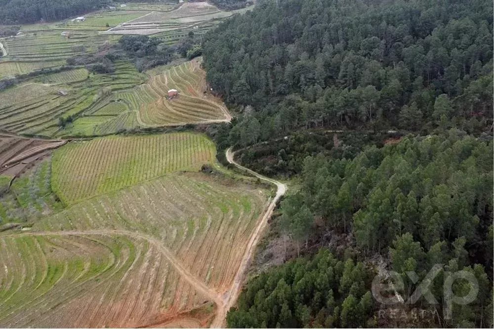 City Center Property Portimão 350 m from Beach 2.8 Km 85506834 image 37