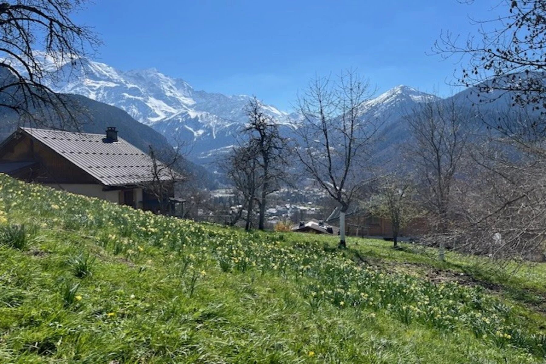 Photo of SERVOZ – Sunny plot with Mont-Blanc views