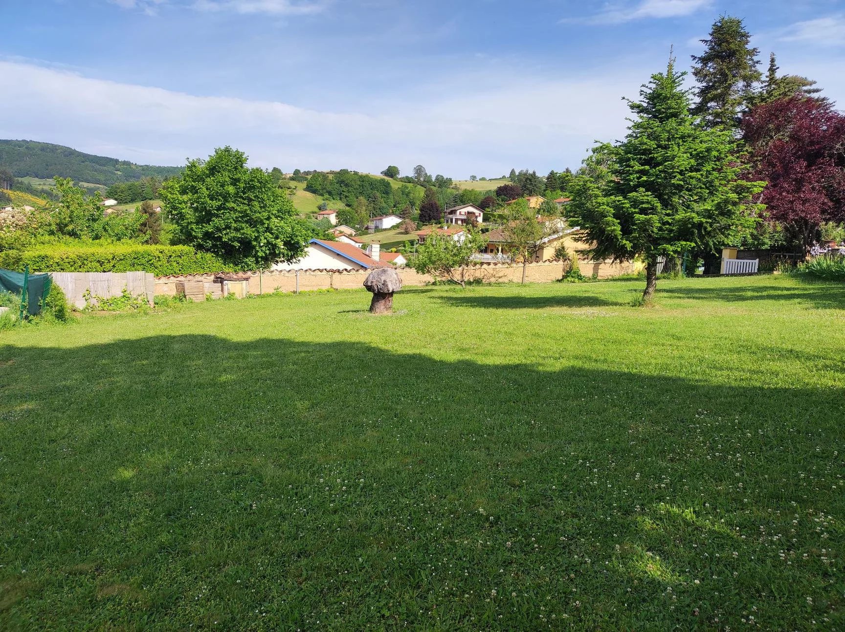 Sale Plot of land Saint-Forgeux