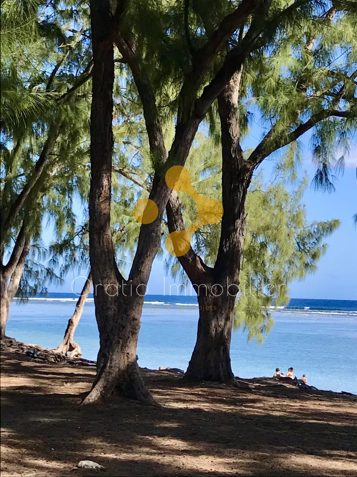 Vente Appartement Saint-Paul