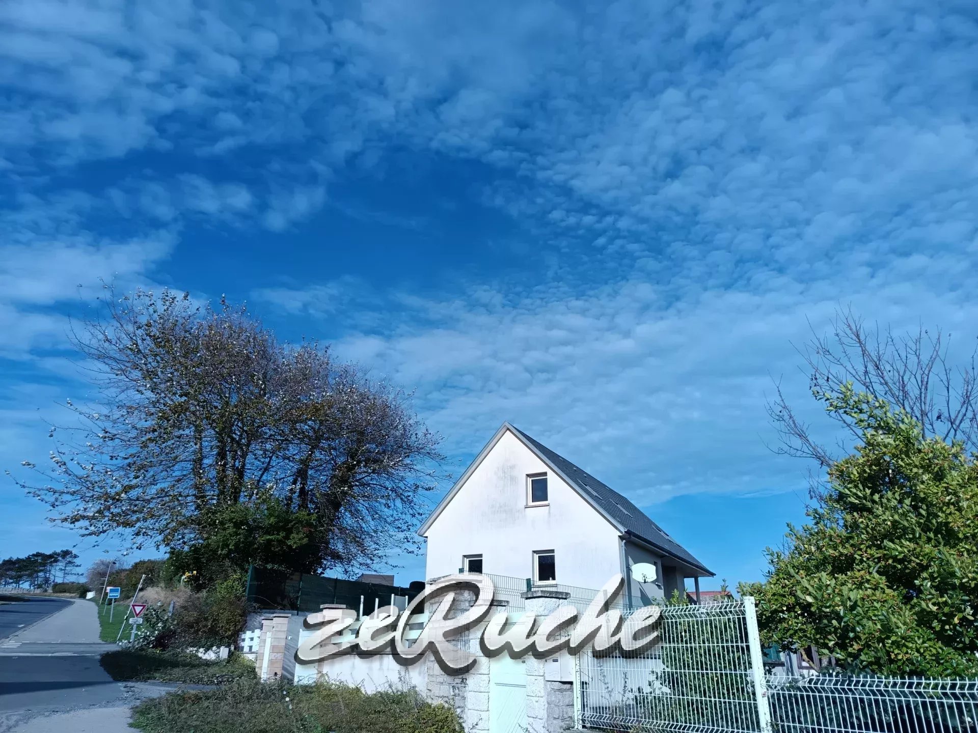 Agence immobilière de ZERUCHE