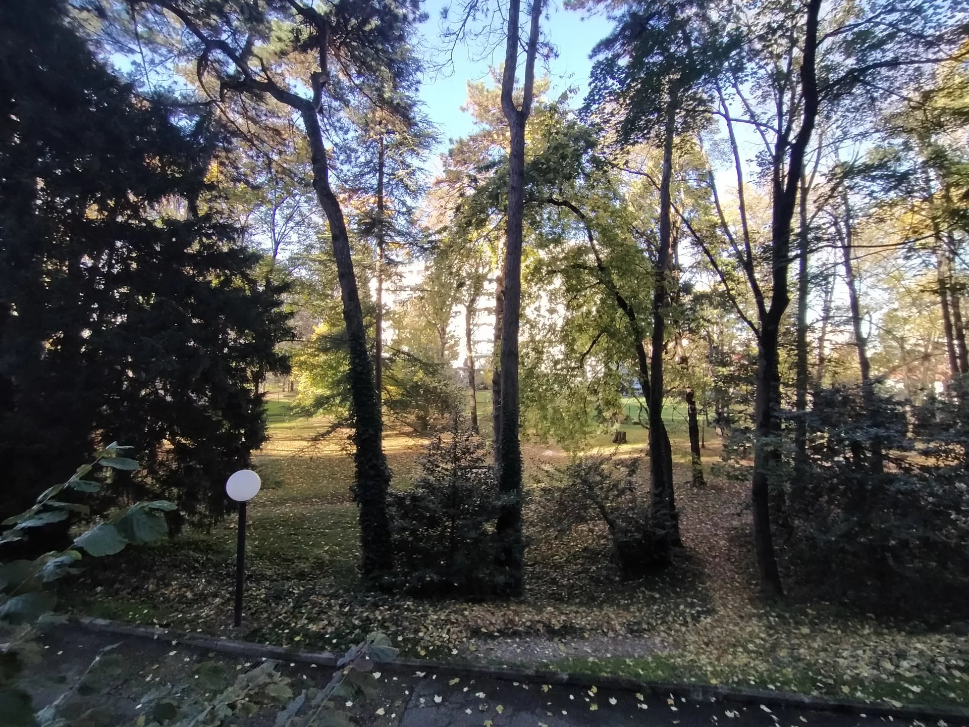 2745594 Location Villeurbanne