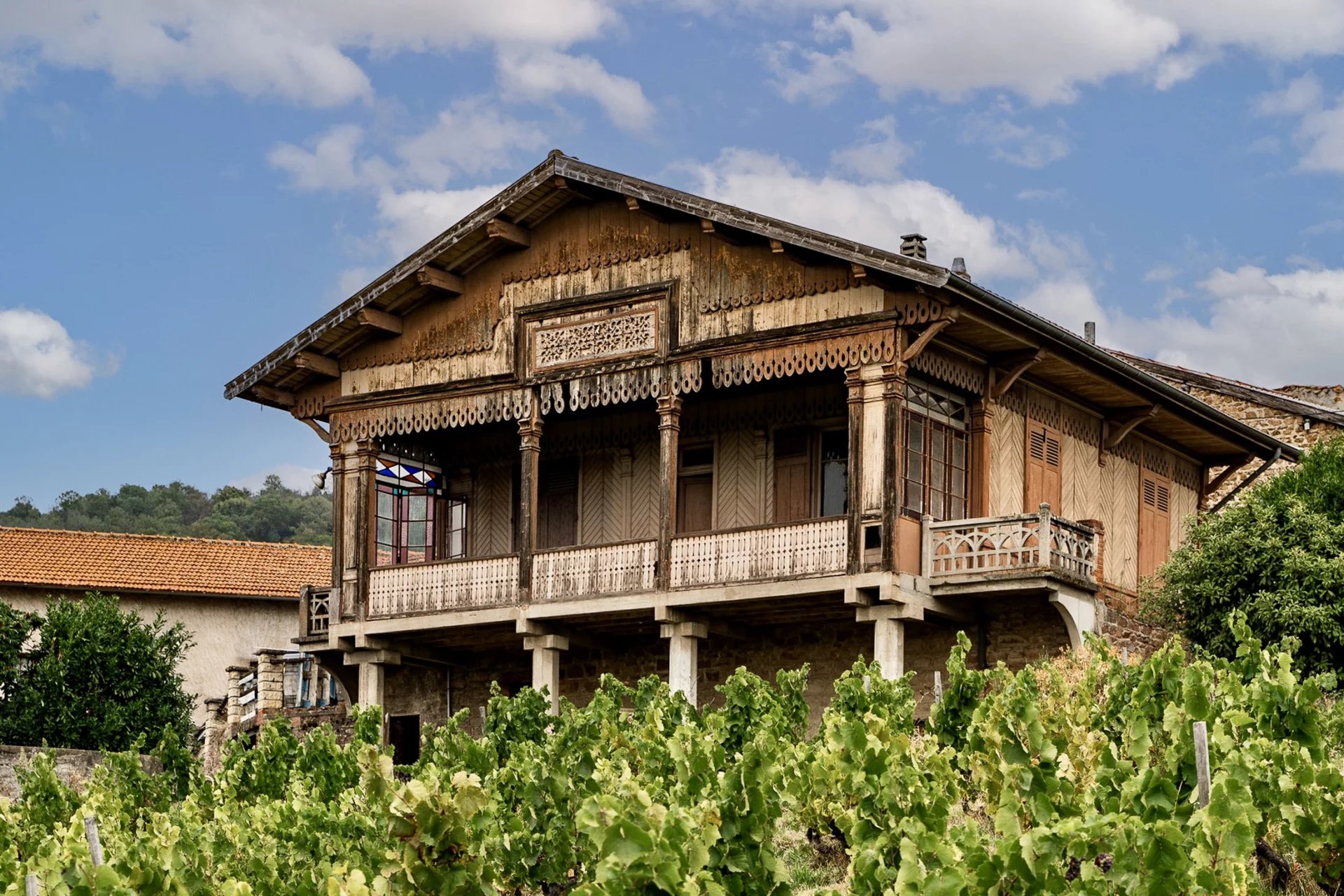 Sale Vineyard property Odenas