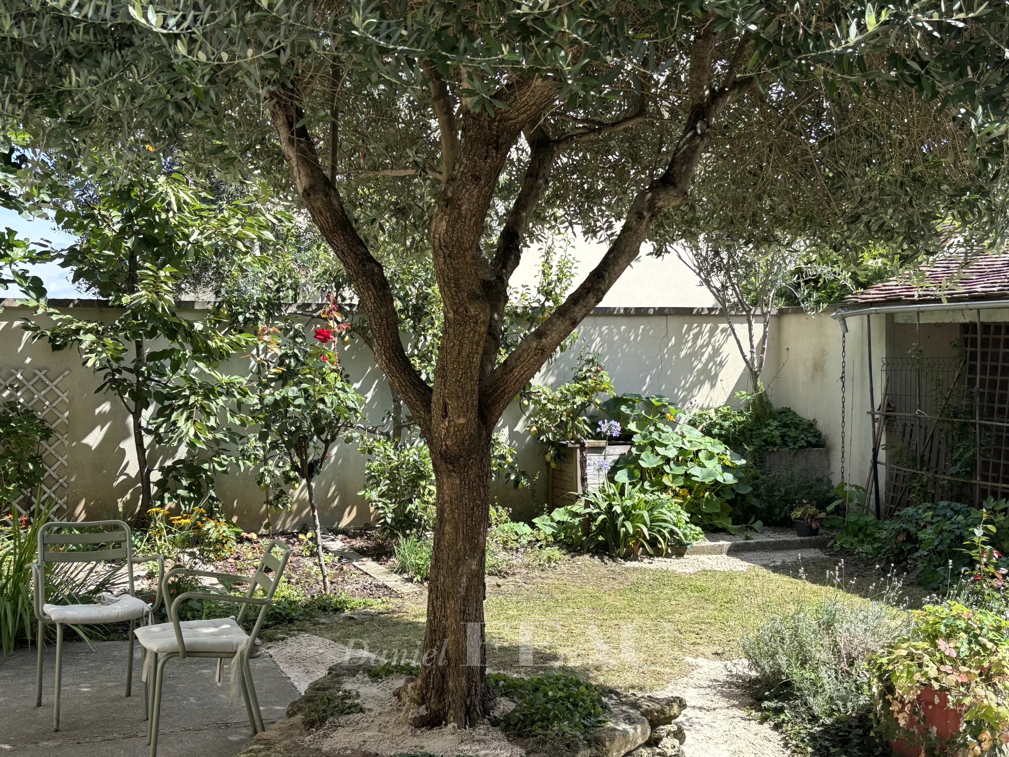 Coin jardin et potager