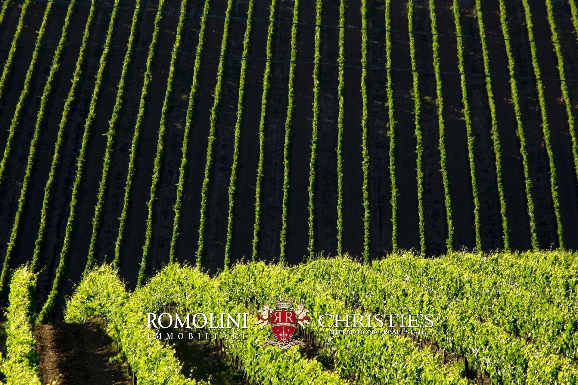 3 Bedroom Vineyard's Image 10