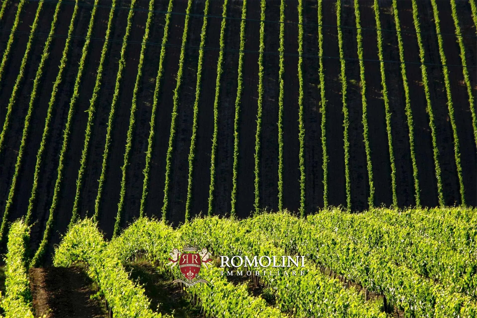 3 Bedroom Vineyard's Image 10