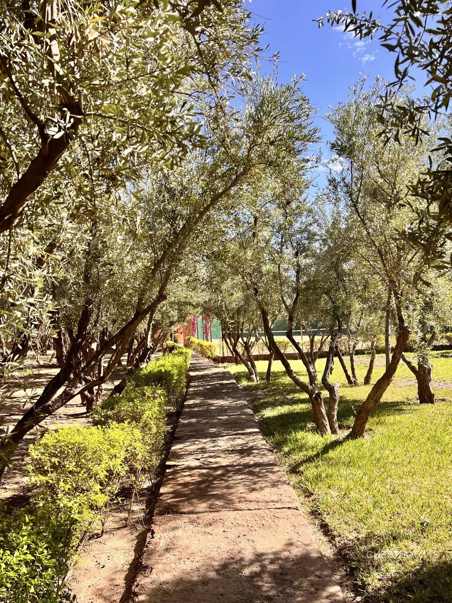 Image of Villa - 6 Bedrooms for Sale in Marrakech-Ménara-Marrakech-Morocco, Image 40
