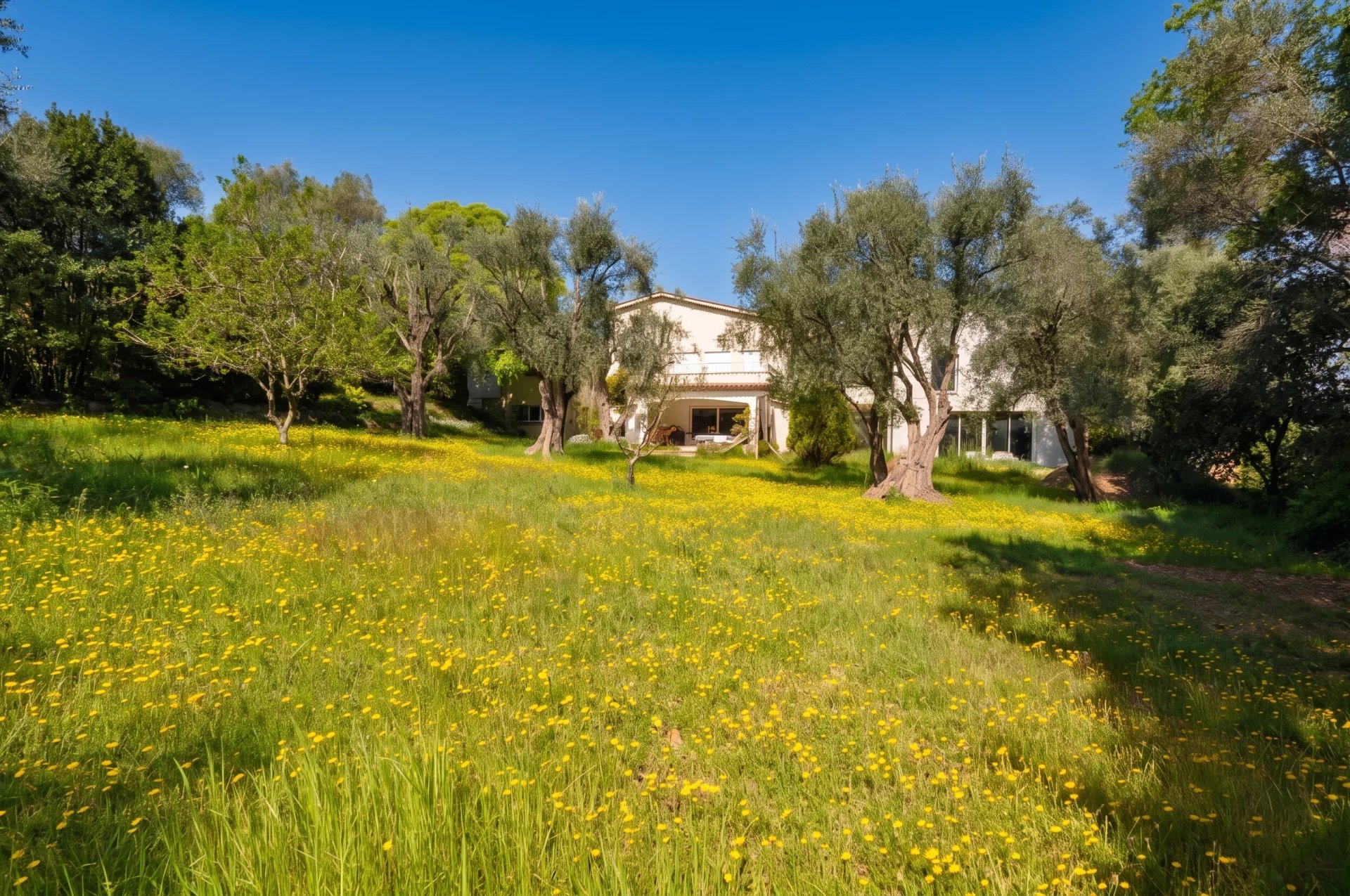 MOUGINS-PROPERTY 2 VILLAS ON A FENCED AND WOODED  PLOT OF 6700 M²
